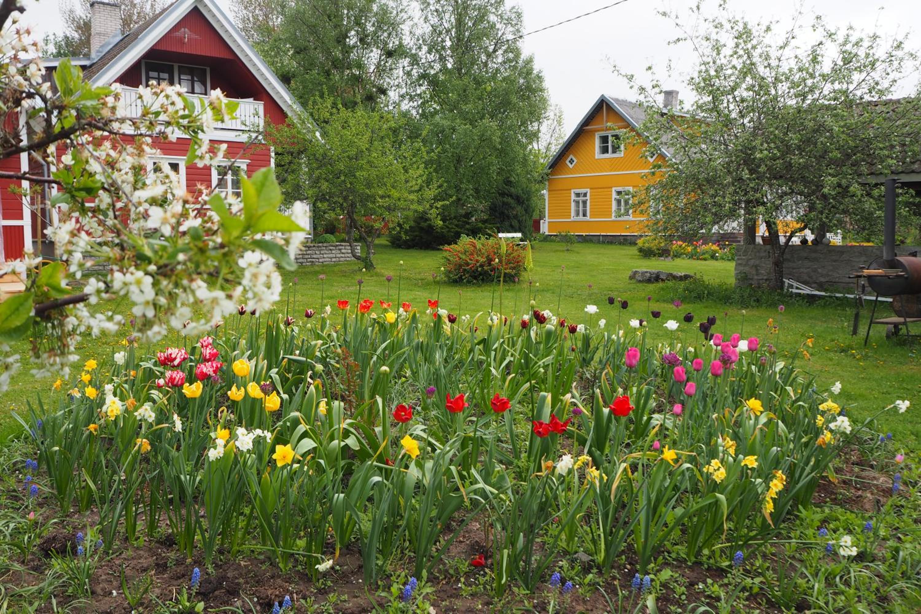 Leesi Külalistemaja view 4