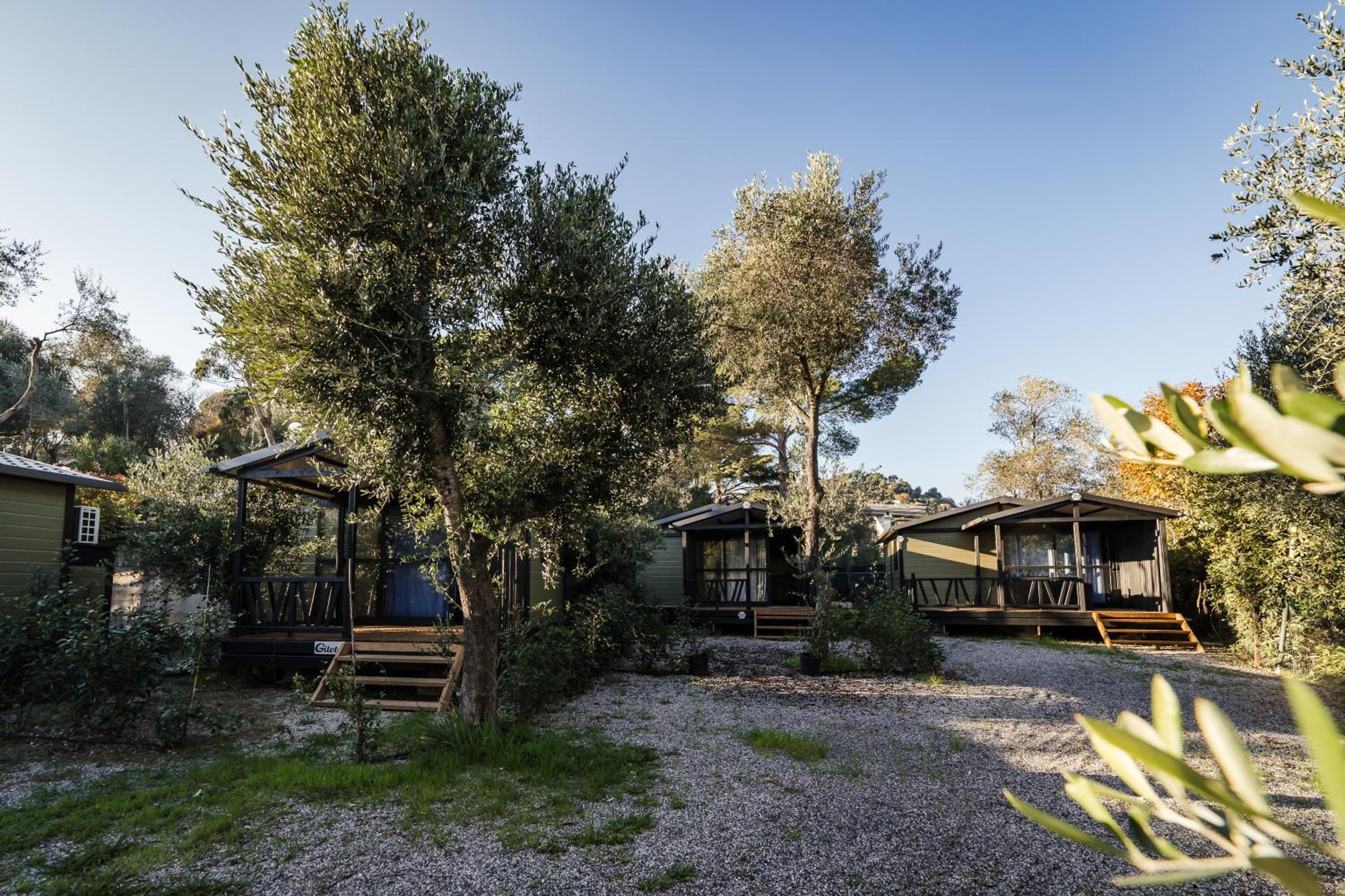Oasi Camping view 2