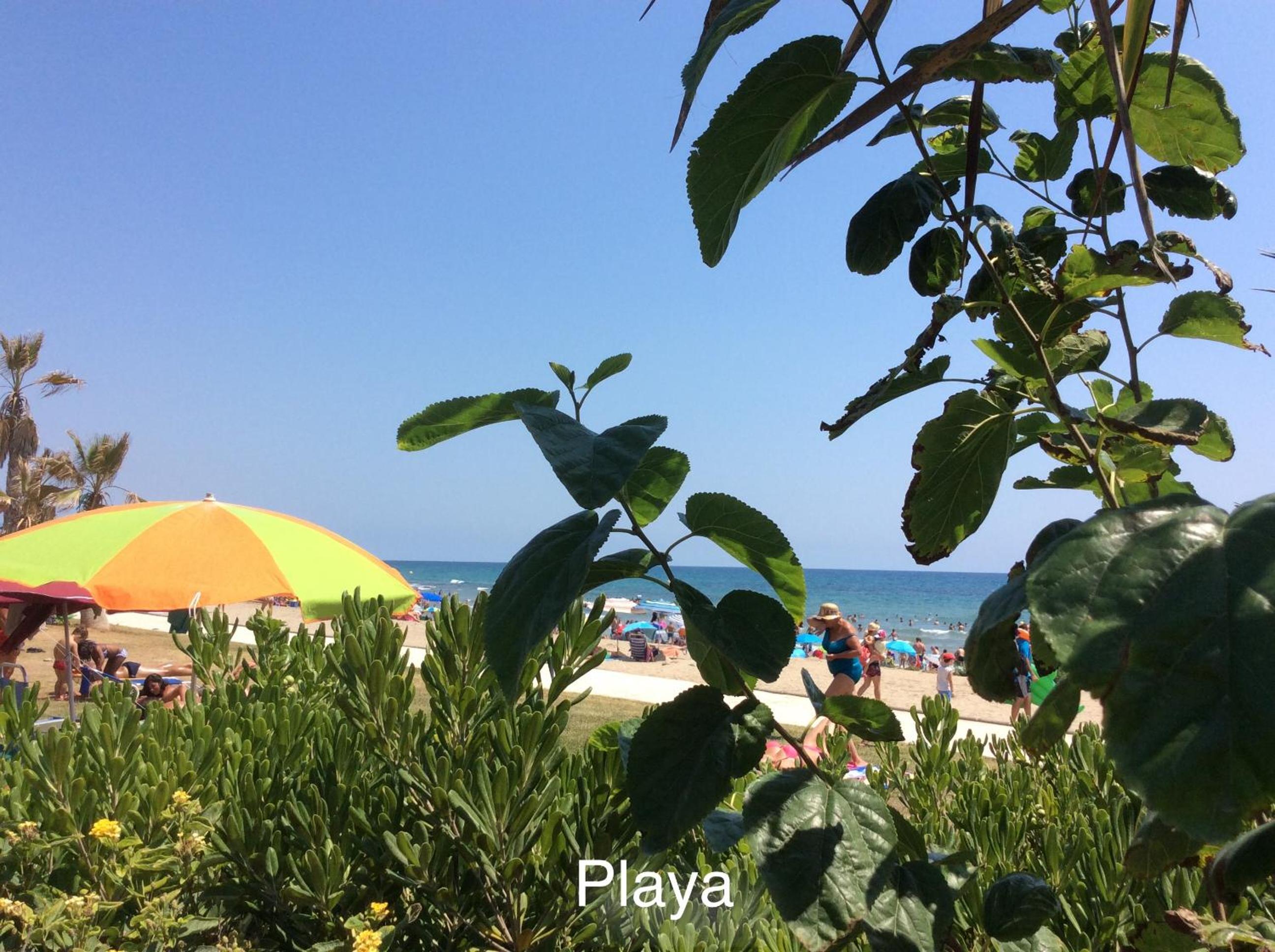 Magic World playa blanca view 5