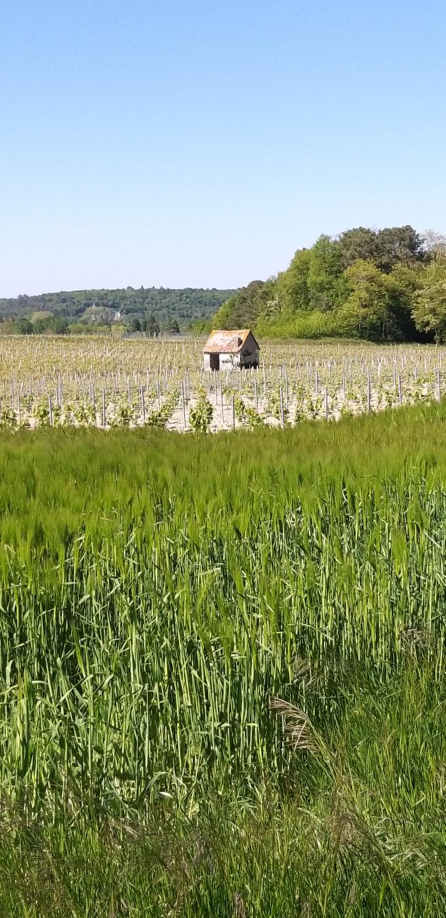 Le Clos de la Chesneraie view 3