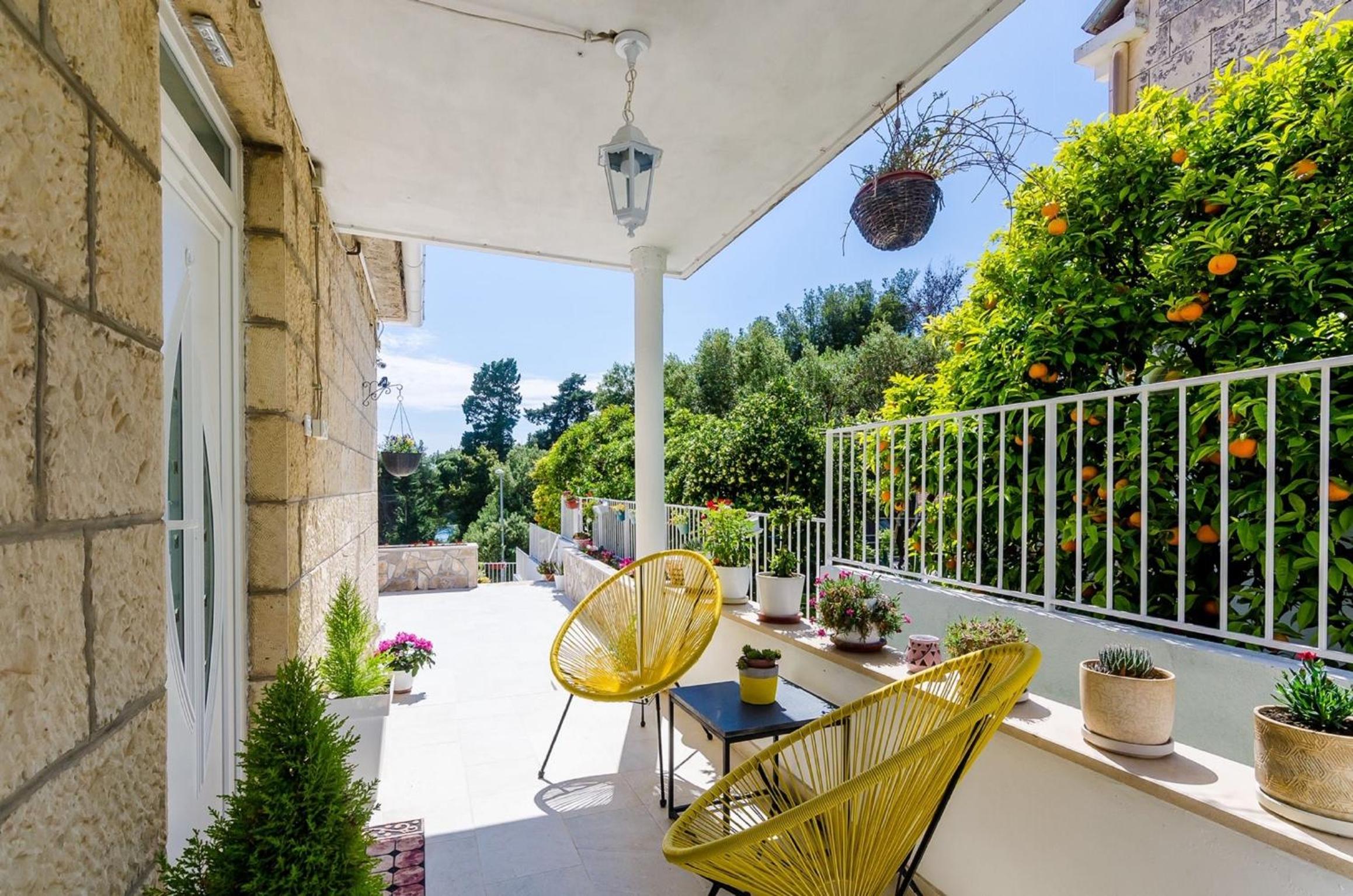 Photo 77
