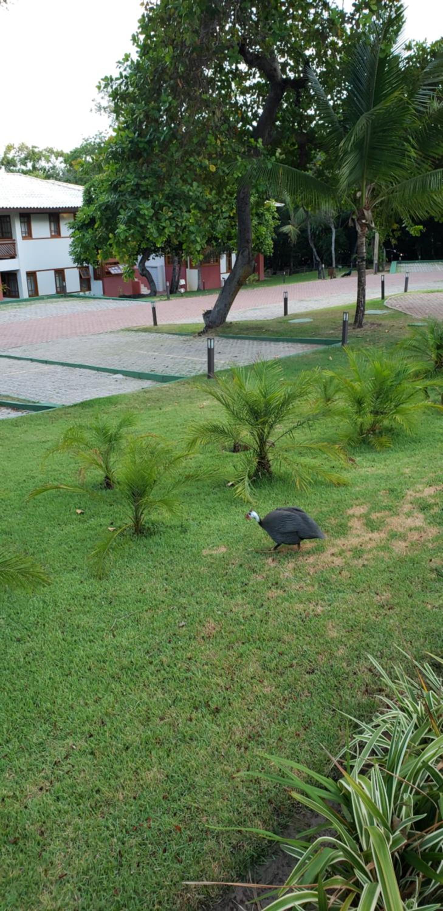 Apto incrível em condomínio lindo