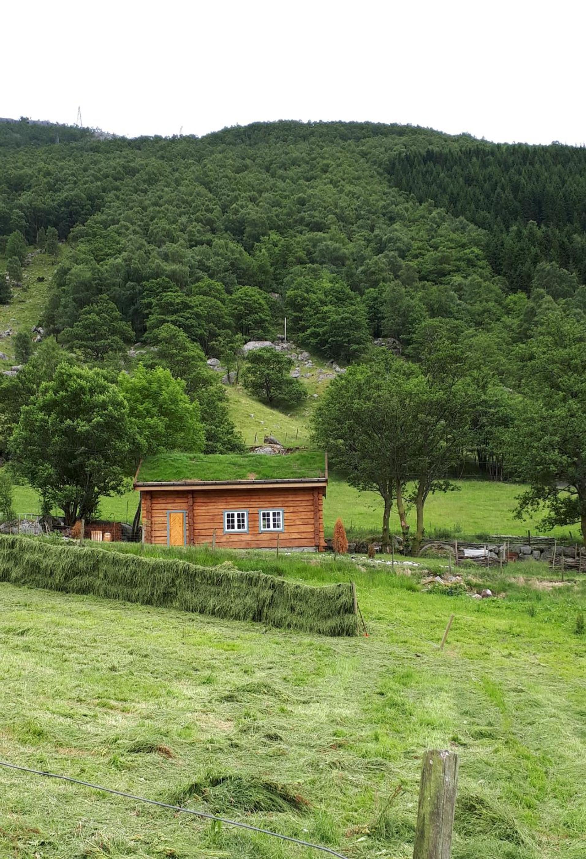 Photo 25