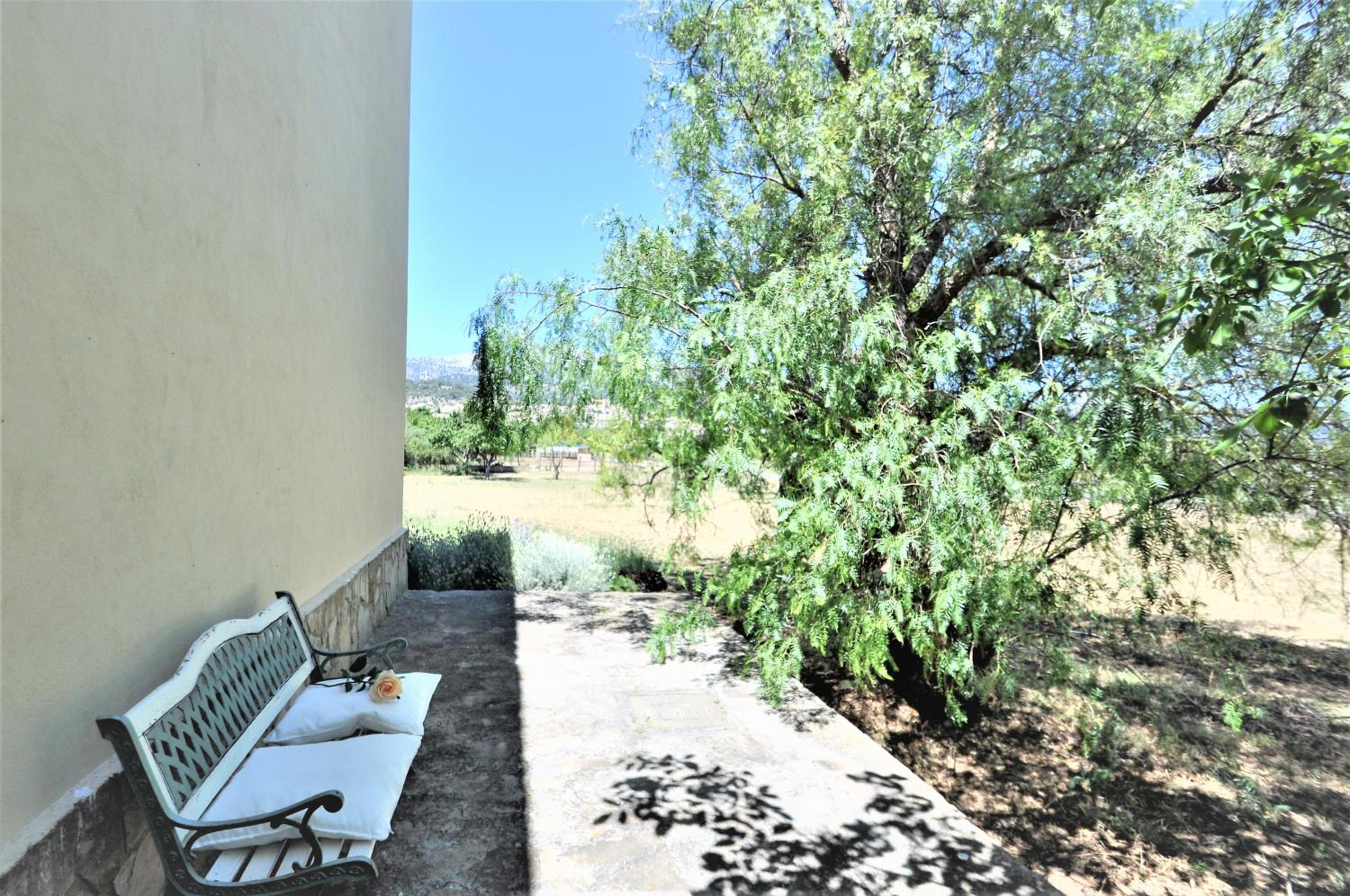 Photo 44