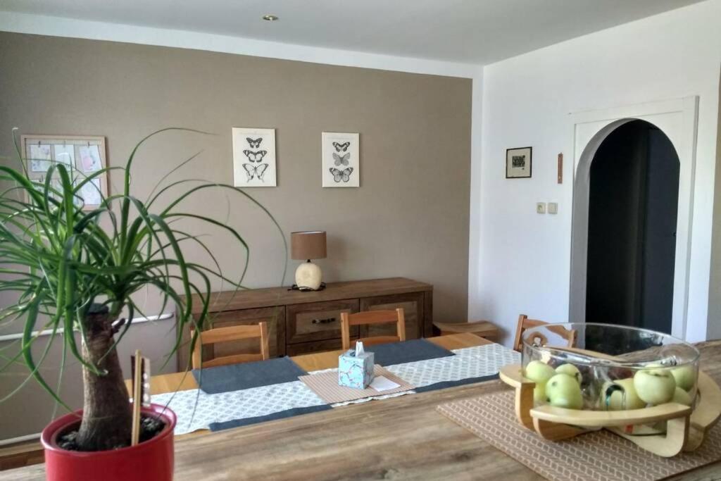 Apartmán se zahradou v Protivíně view 2