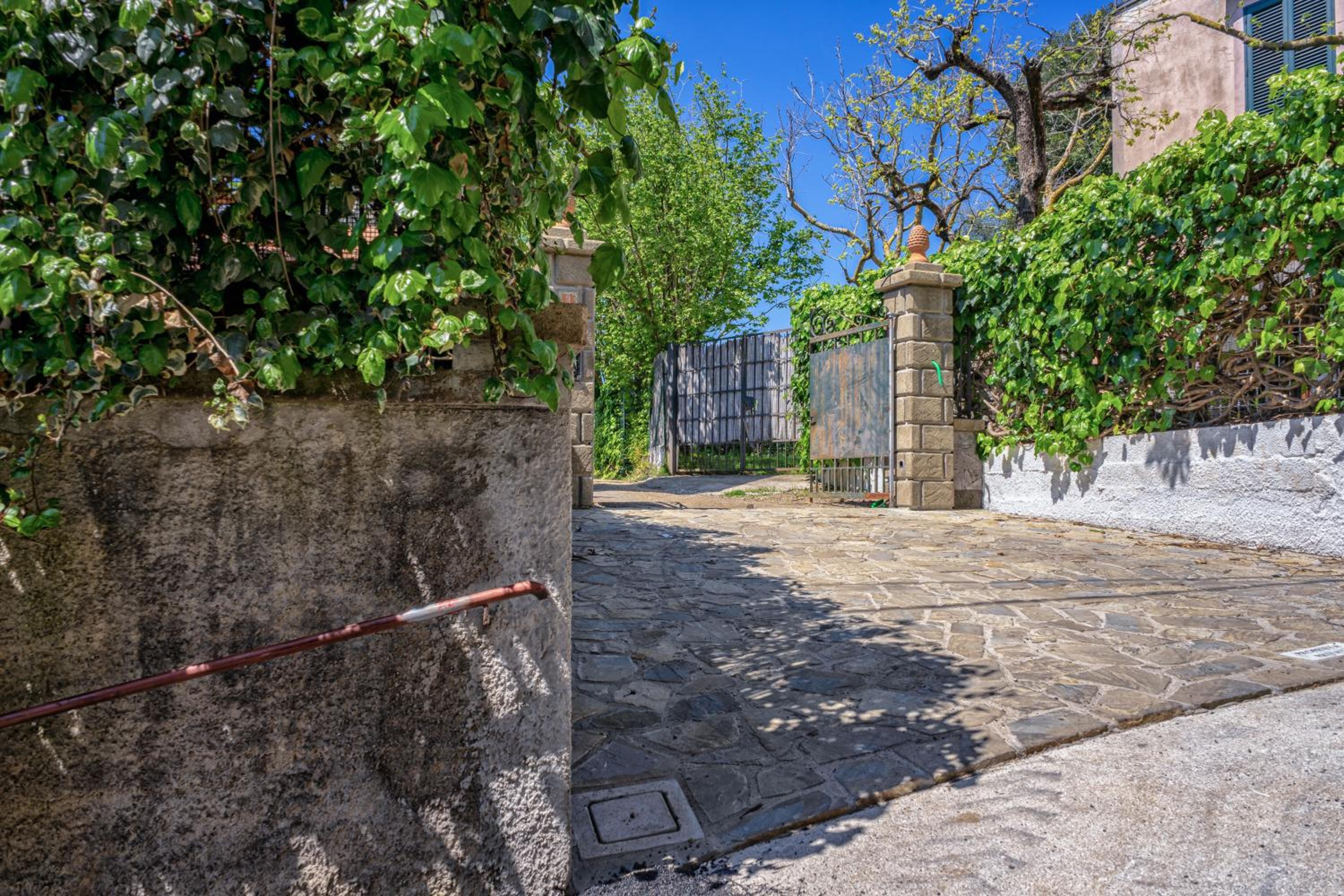 Albero di Giada photo 3