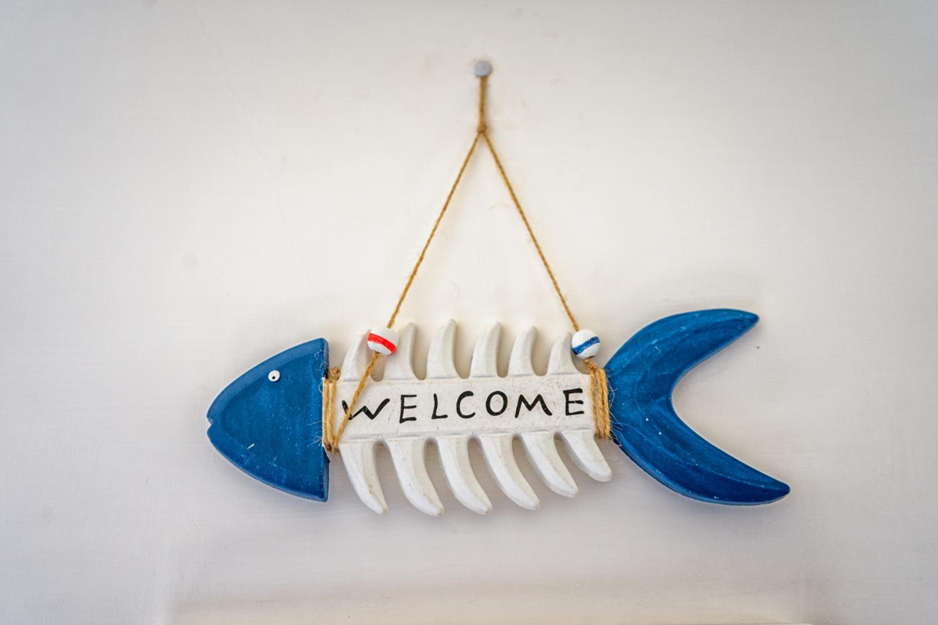 Albero di Giada photo 4