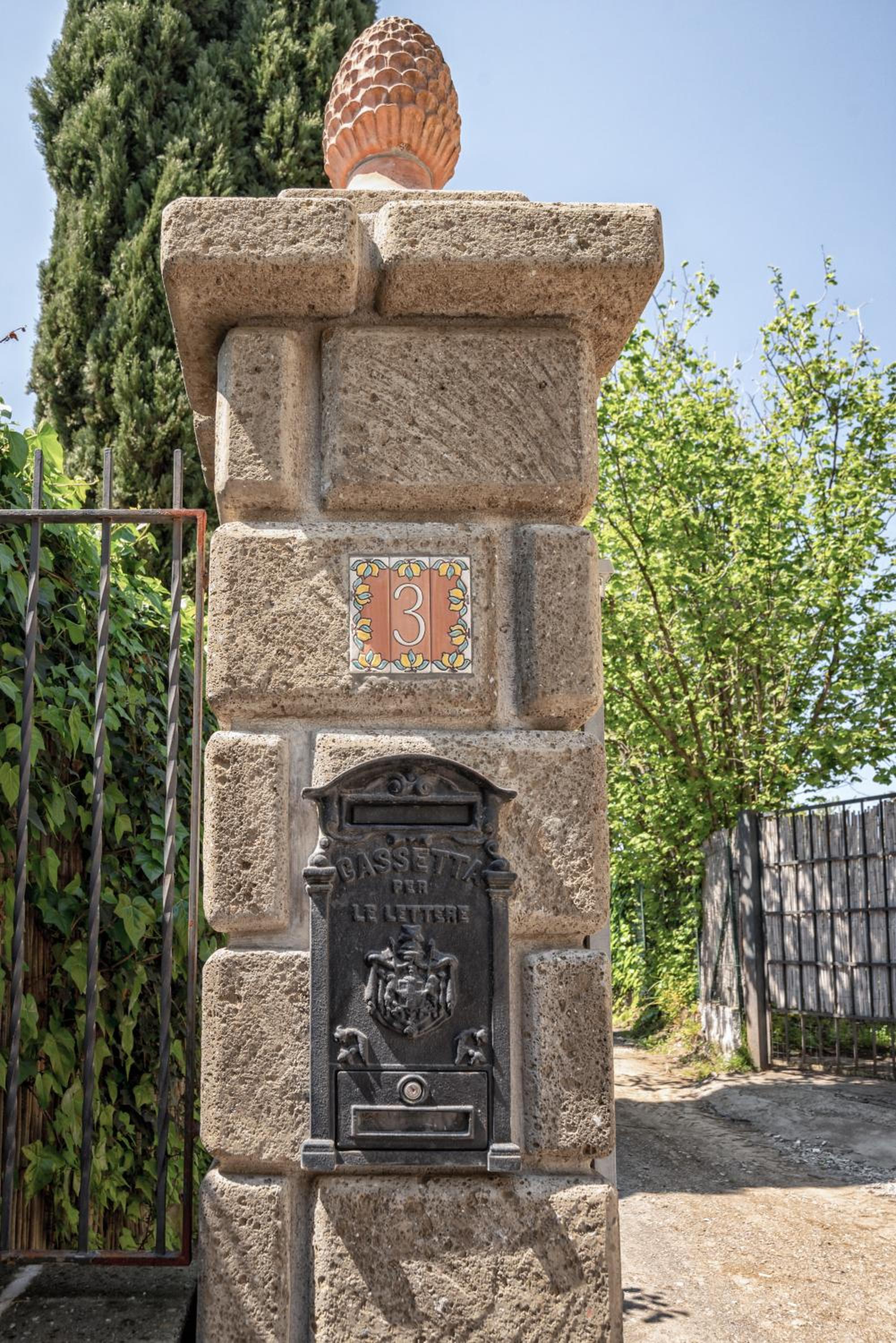 Albero di Giada photo 2