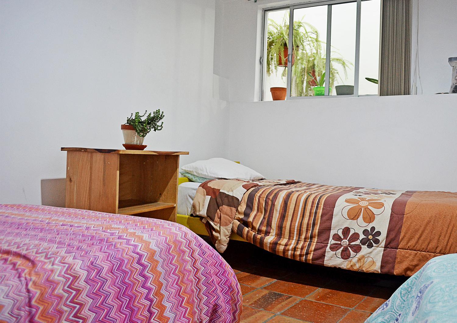 AlterNative Hostels, photo 12
