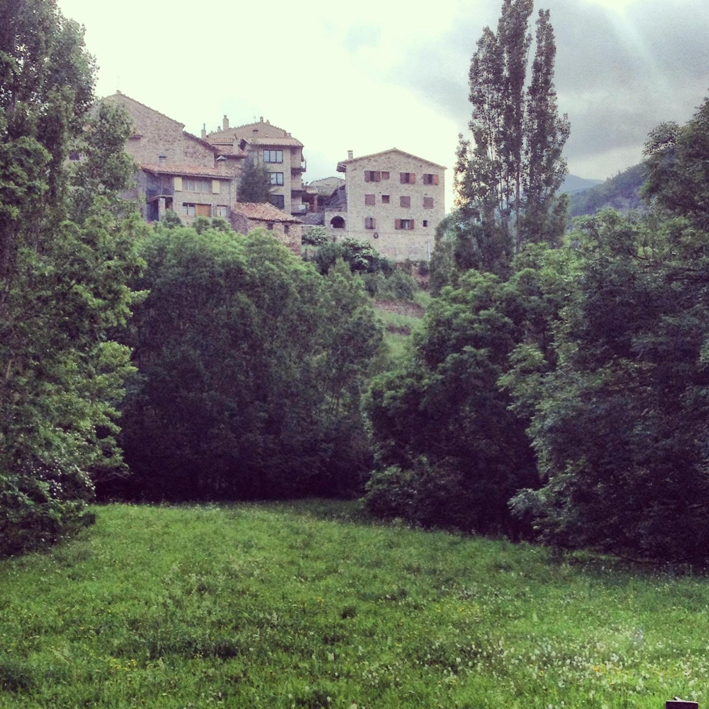 Photo 39