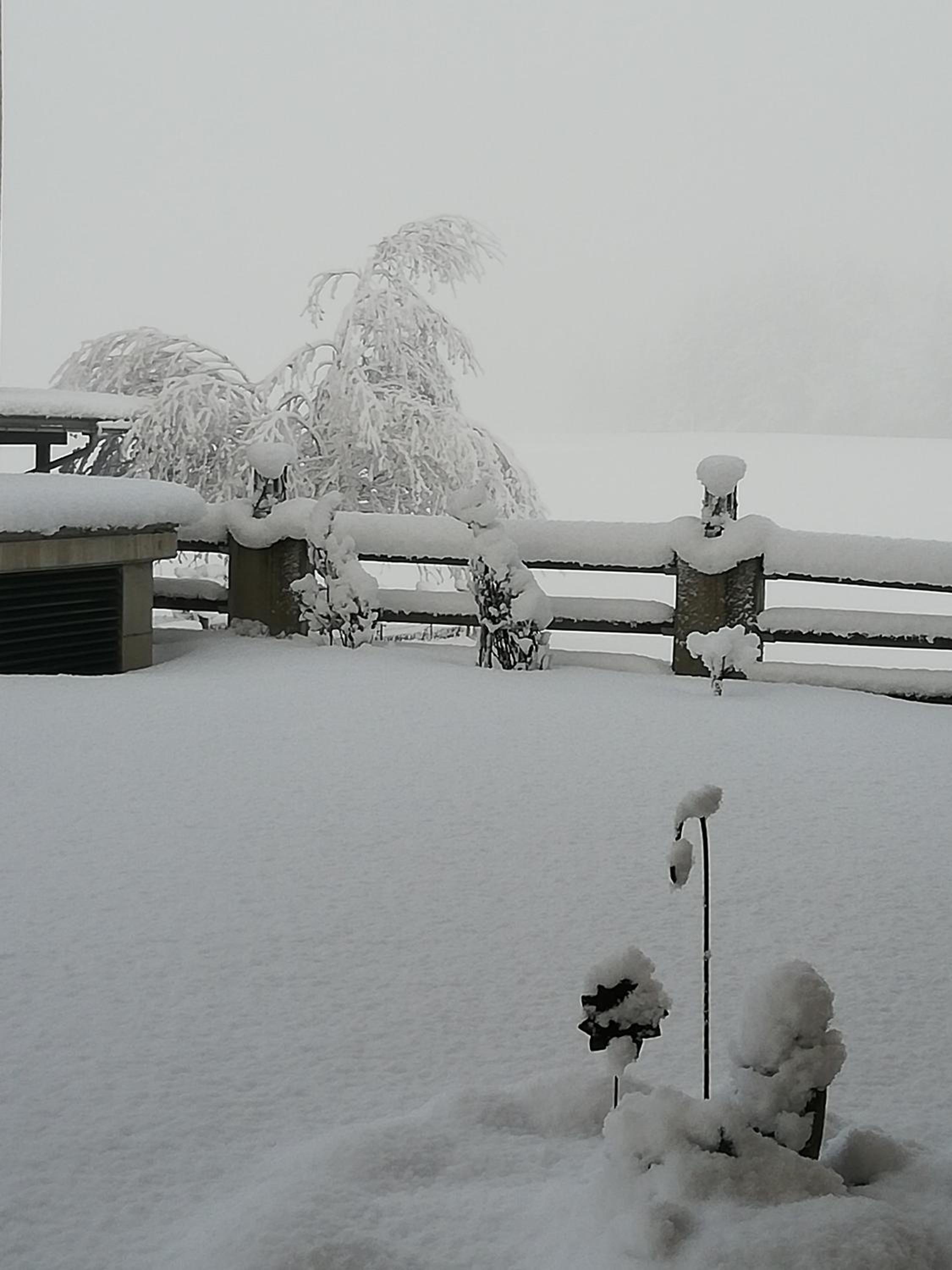 Pension Lärchenbrunn