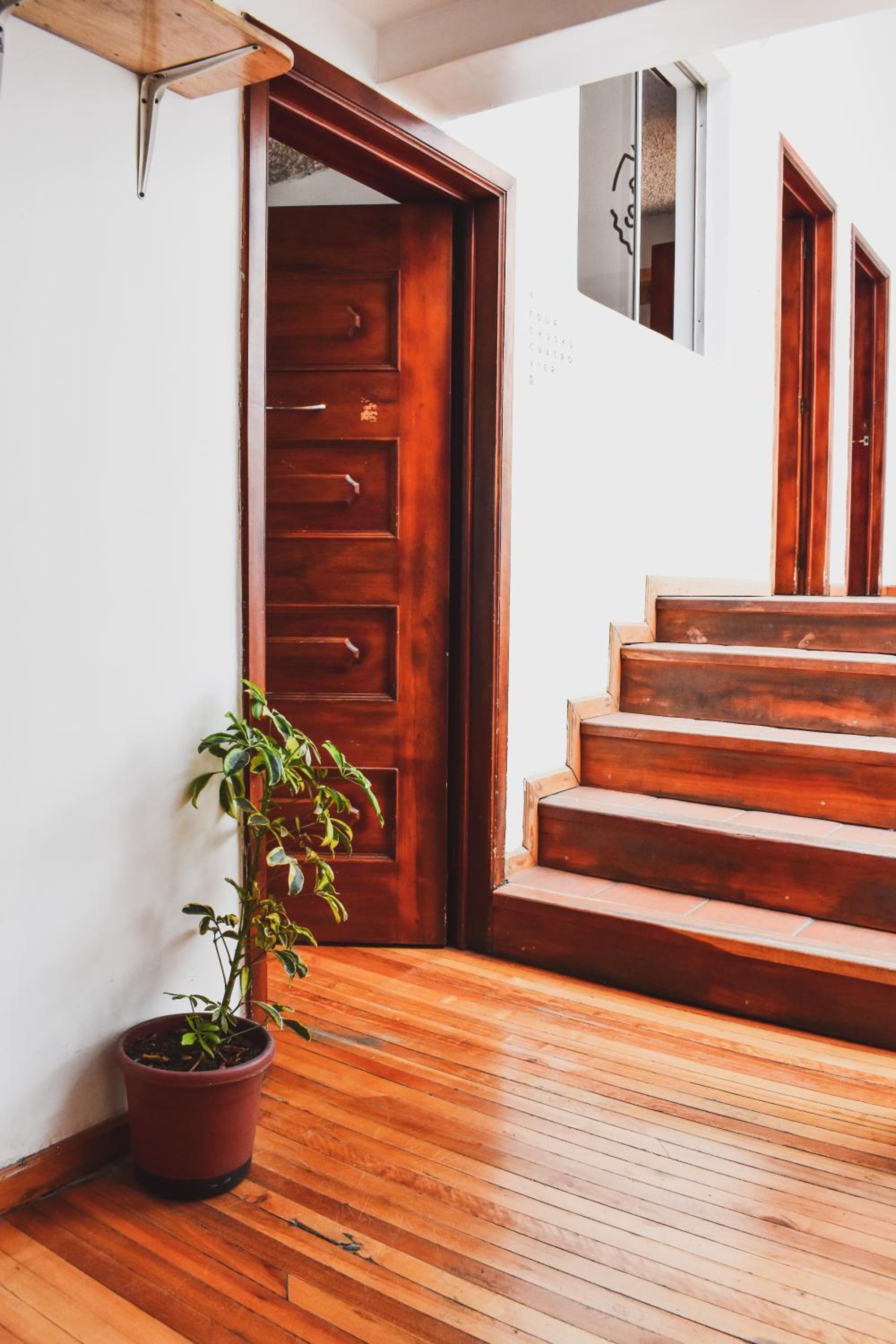 AlterNative Hostels