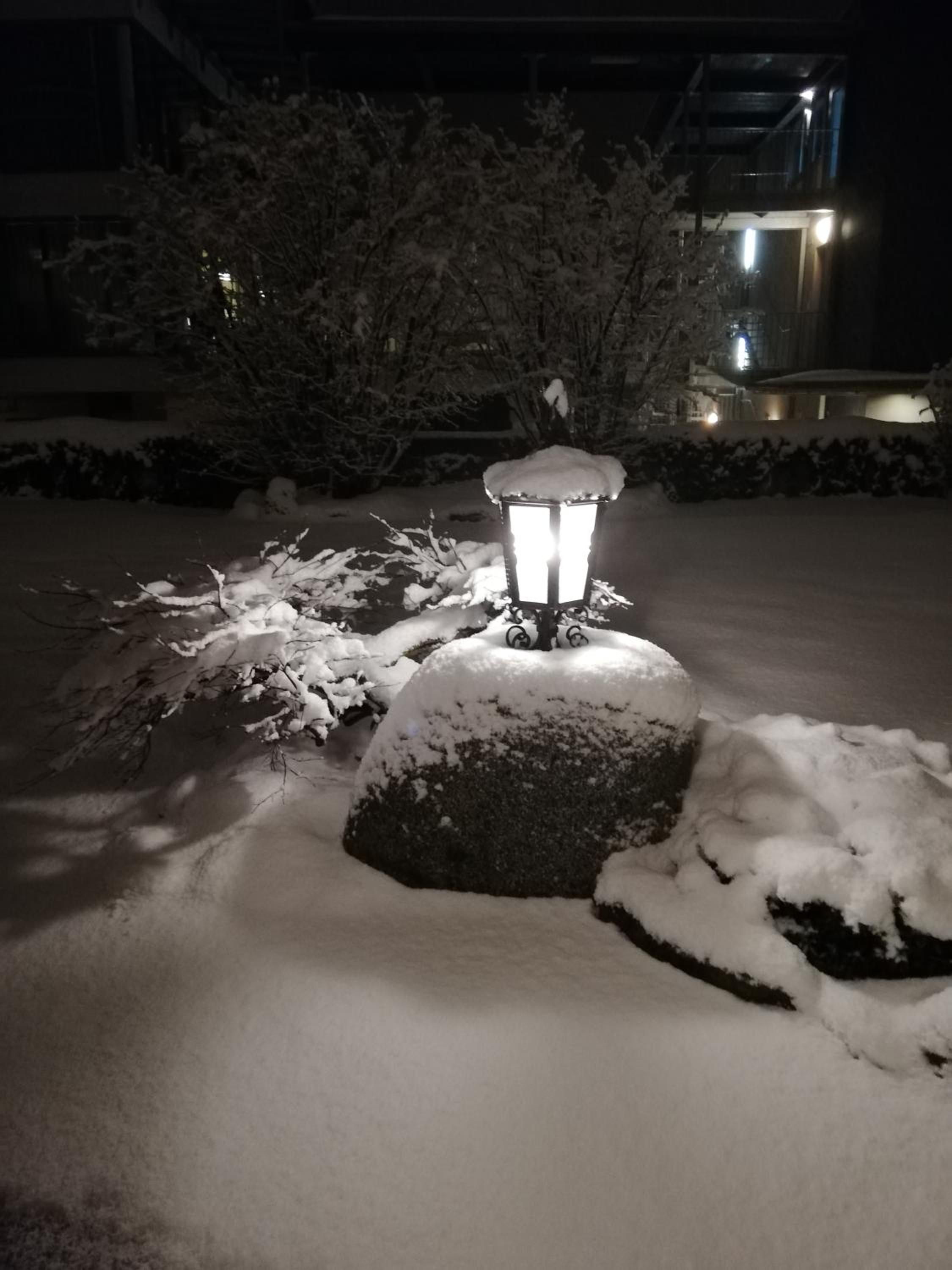 Pension Lärchenbrunn
