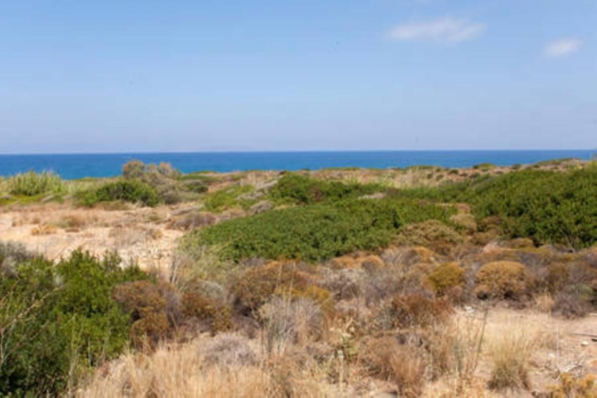 Makis Apartments en Sitia