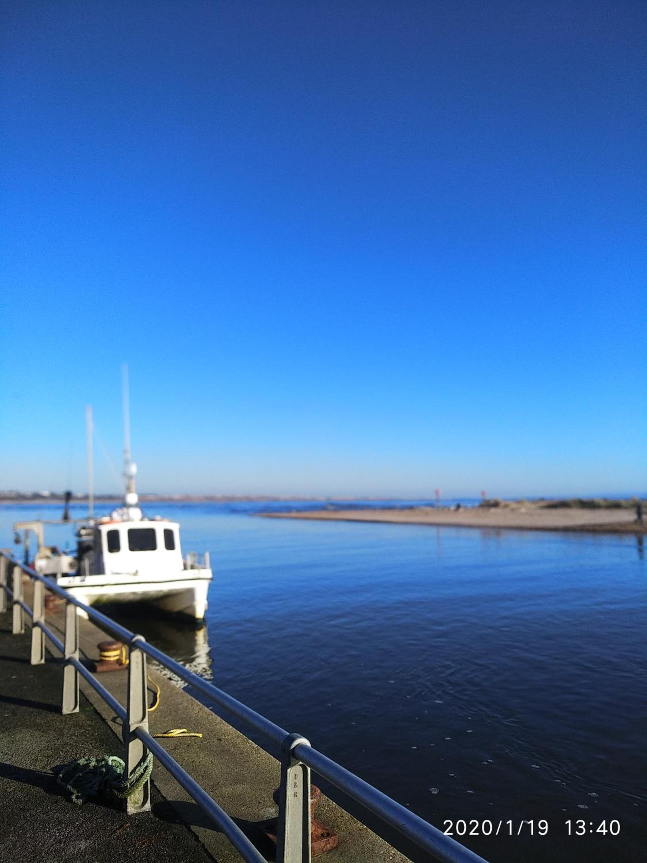 Photo 41