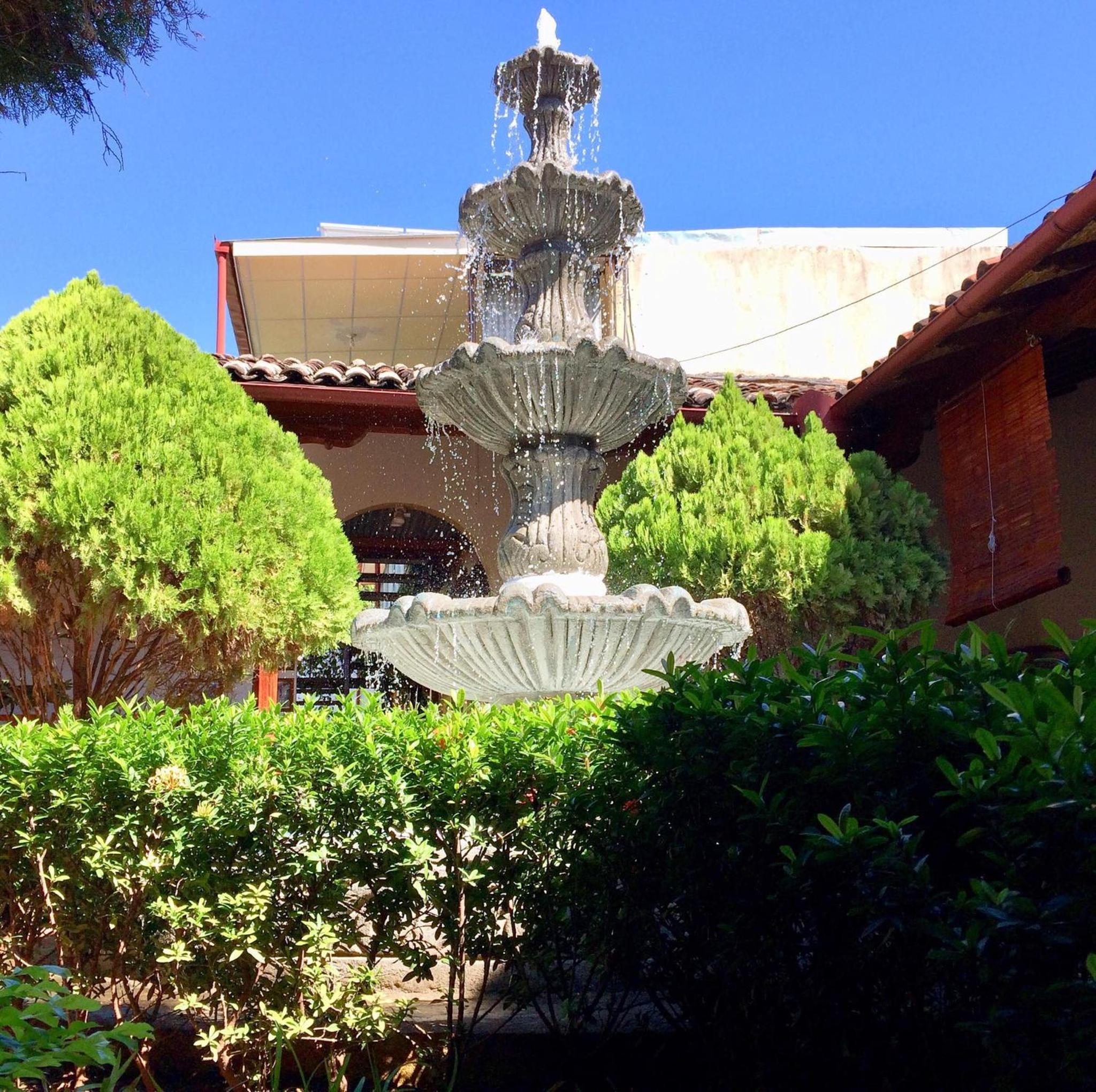 Photo 19