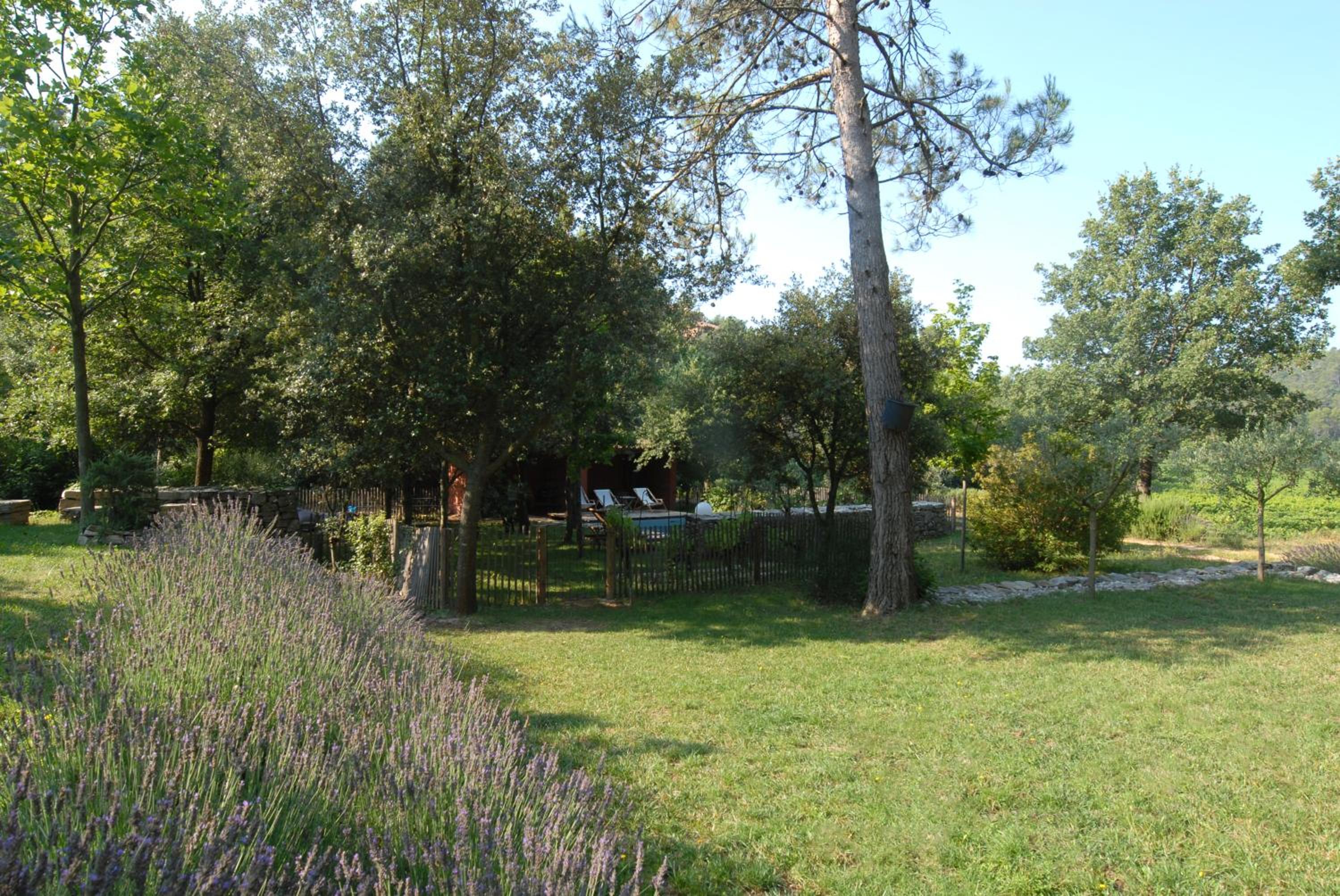 Photo 22