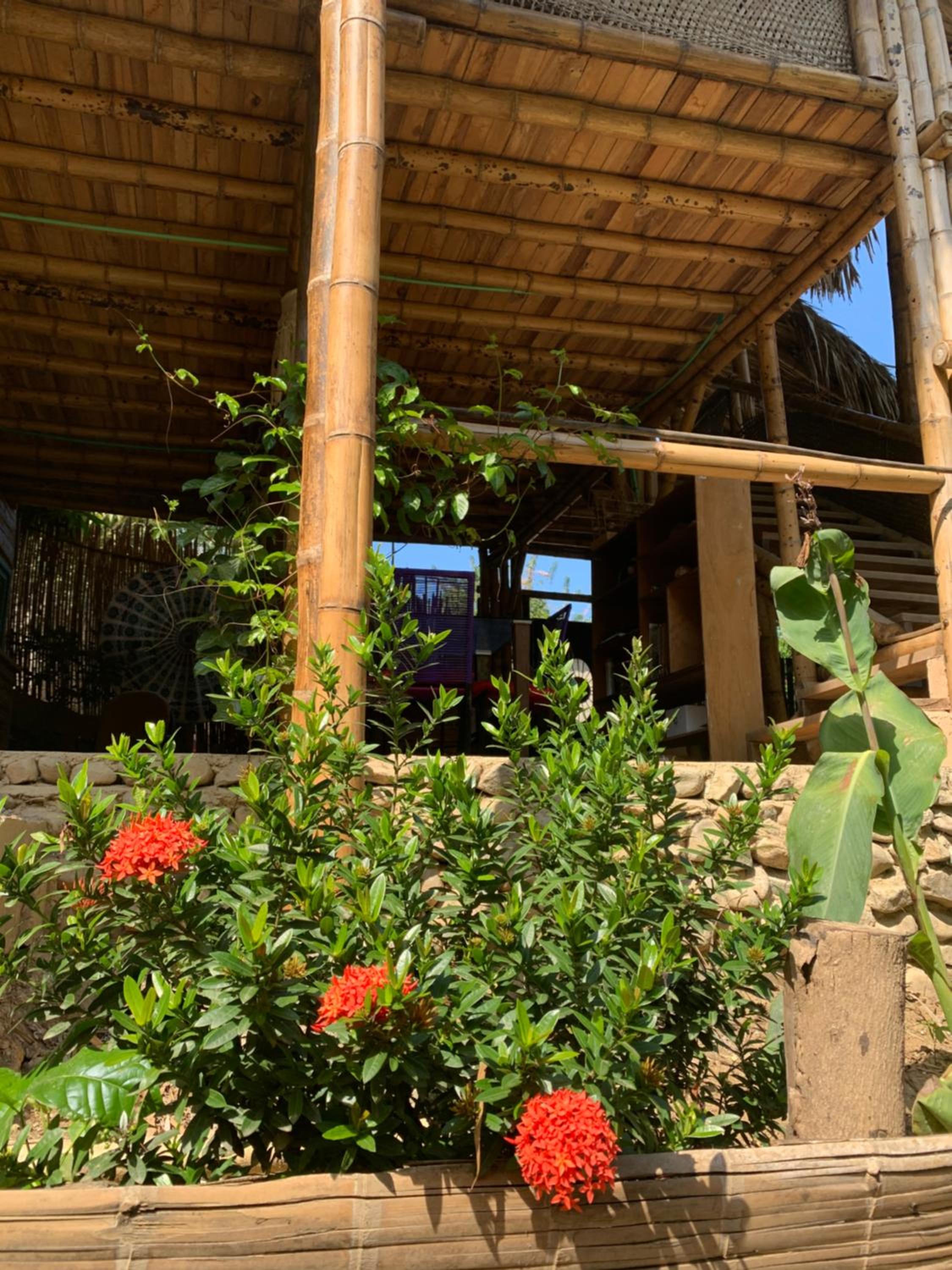 La Percha Hostal