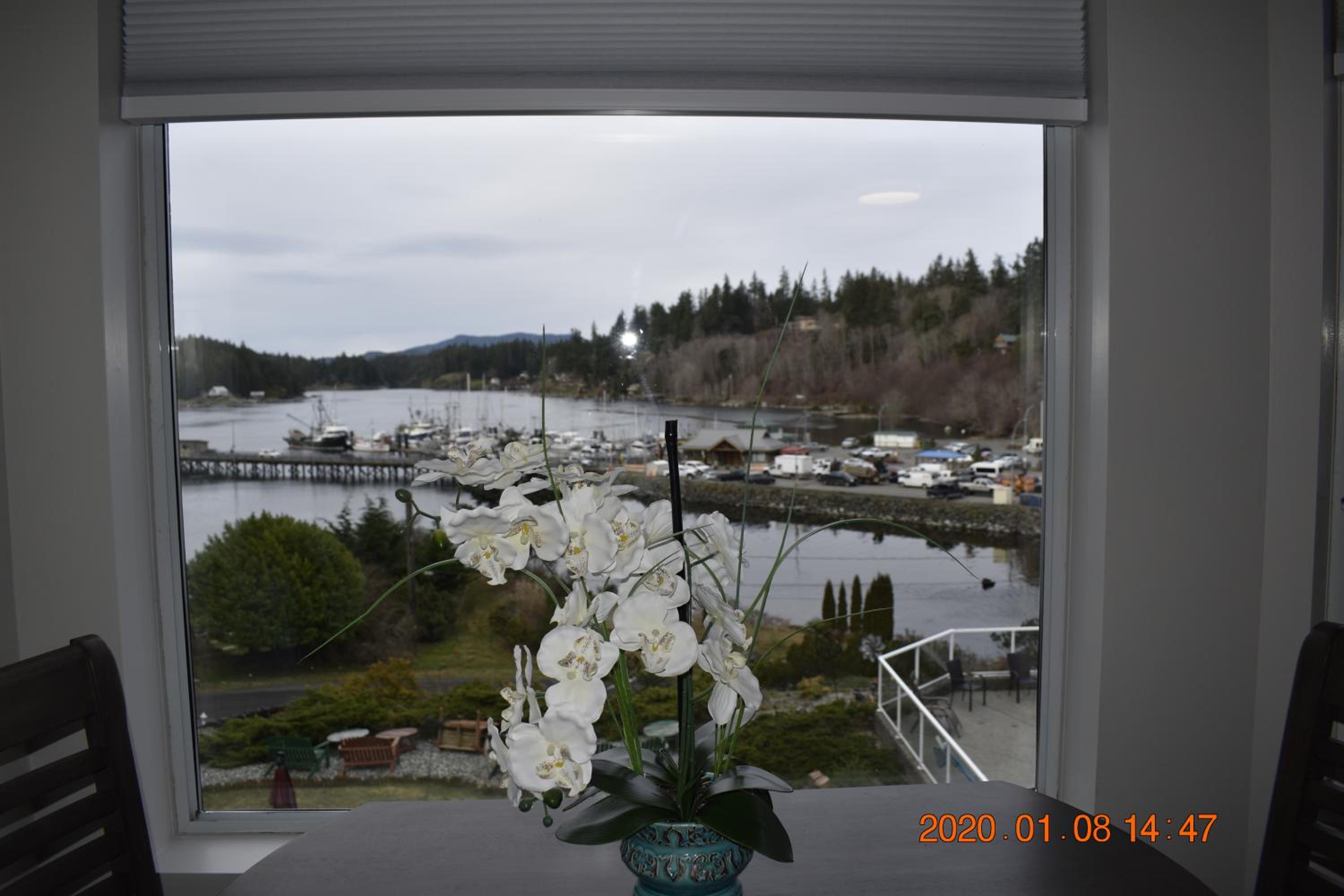 Photo 42
