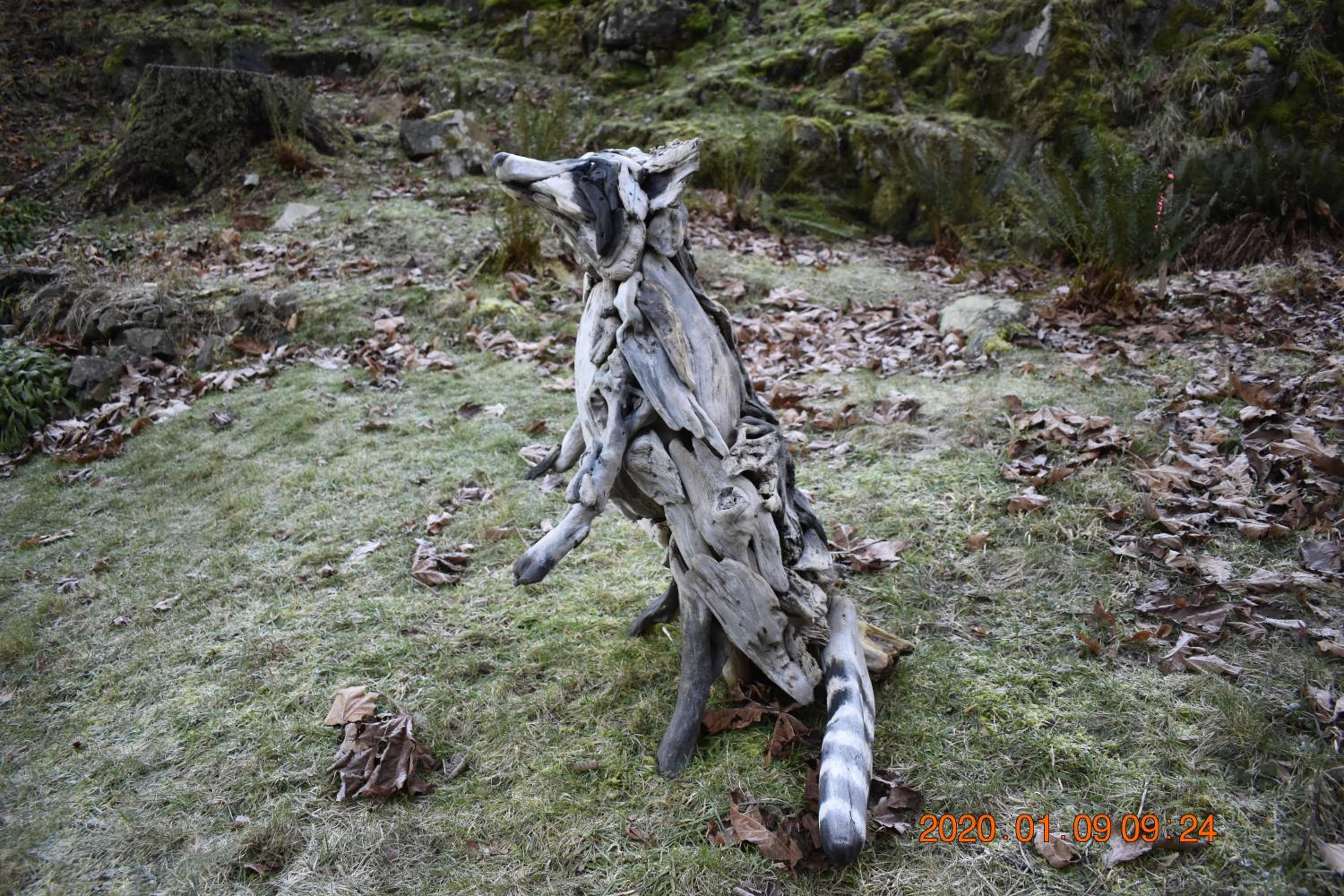 Photo 22
