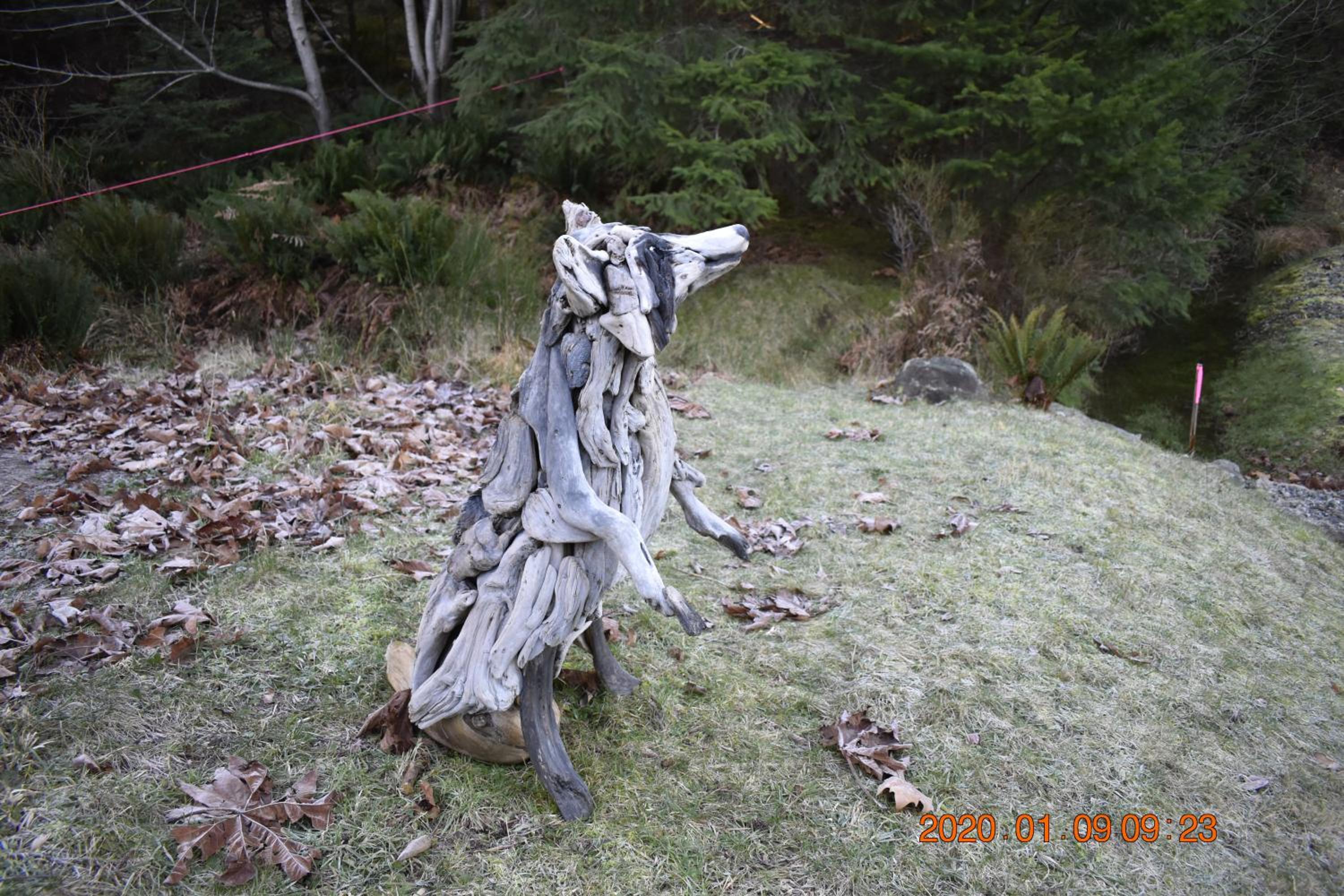 Photo 20