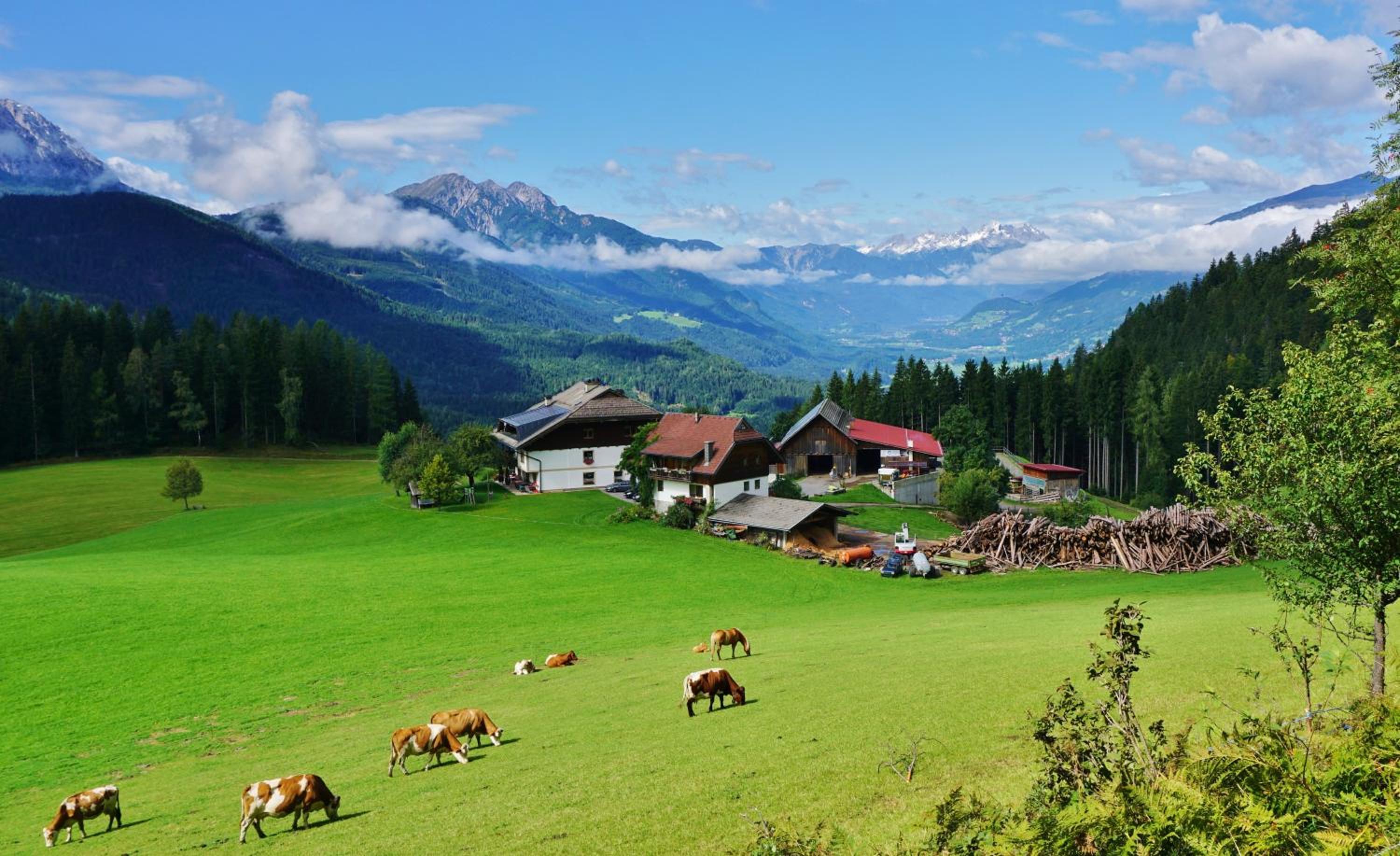 Erlebnishof Tschabitscher