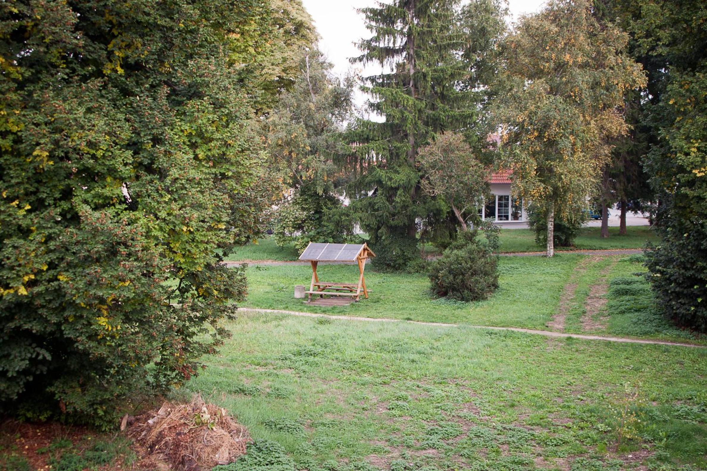 Photo 13