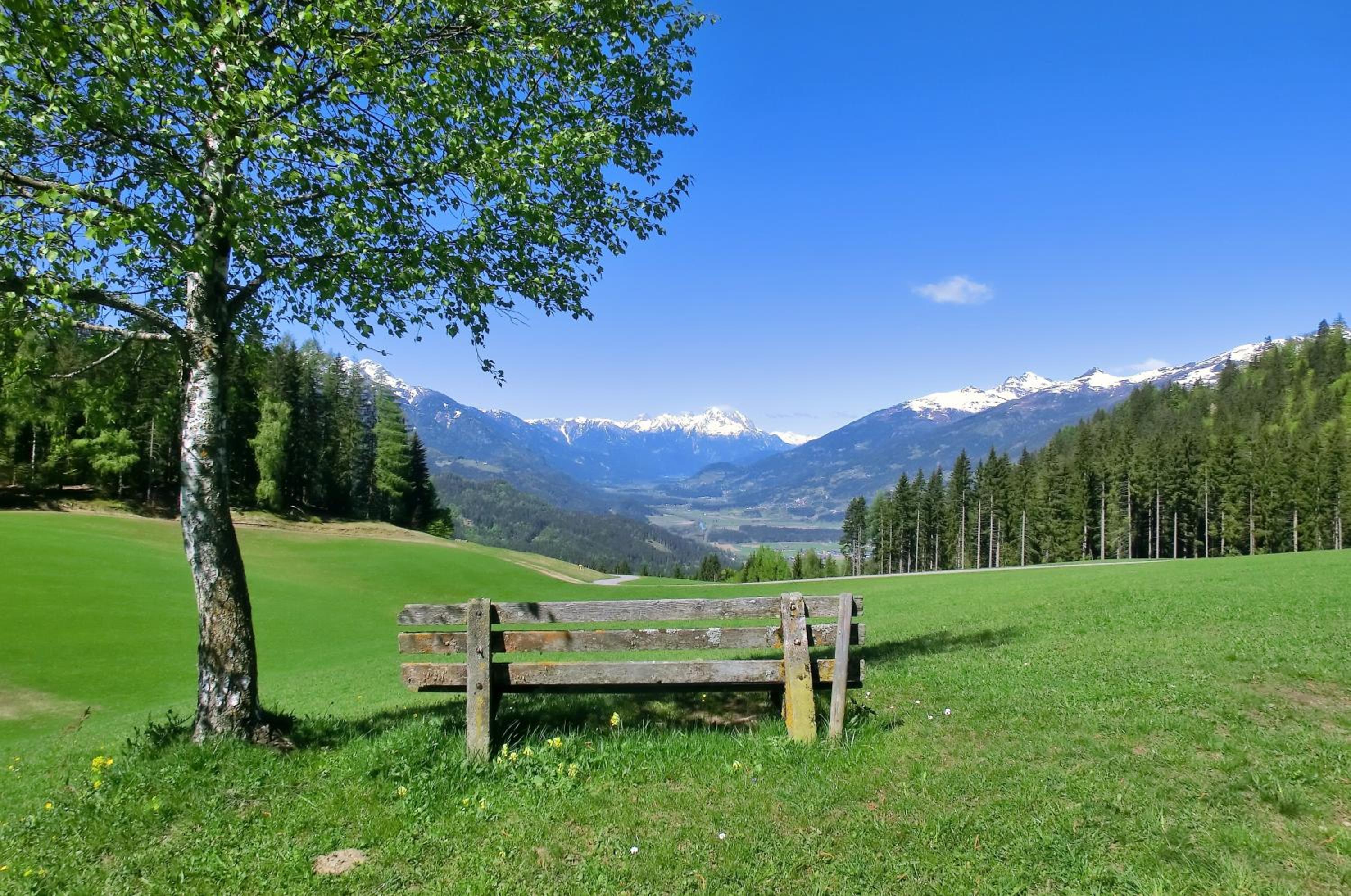 Erlebnishof Tschabitscher