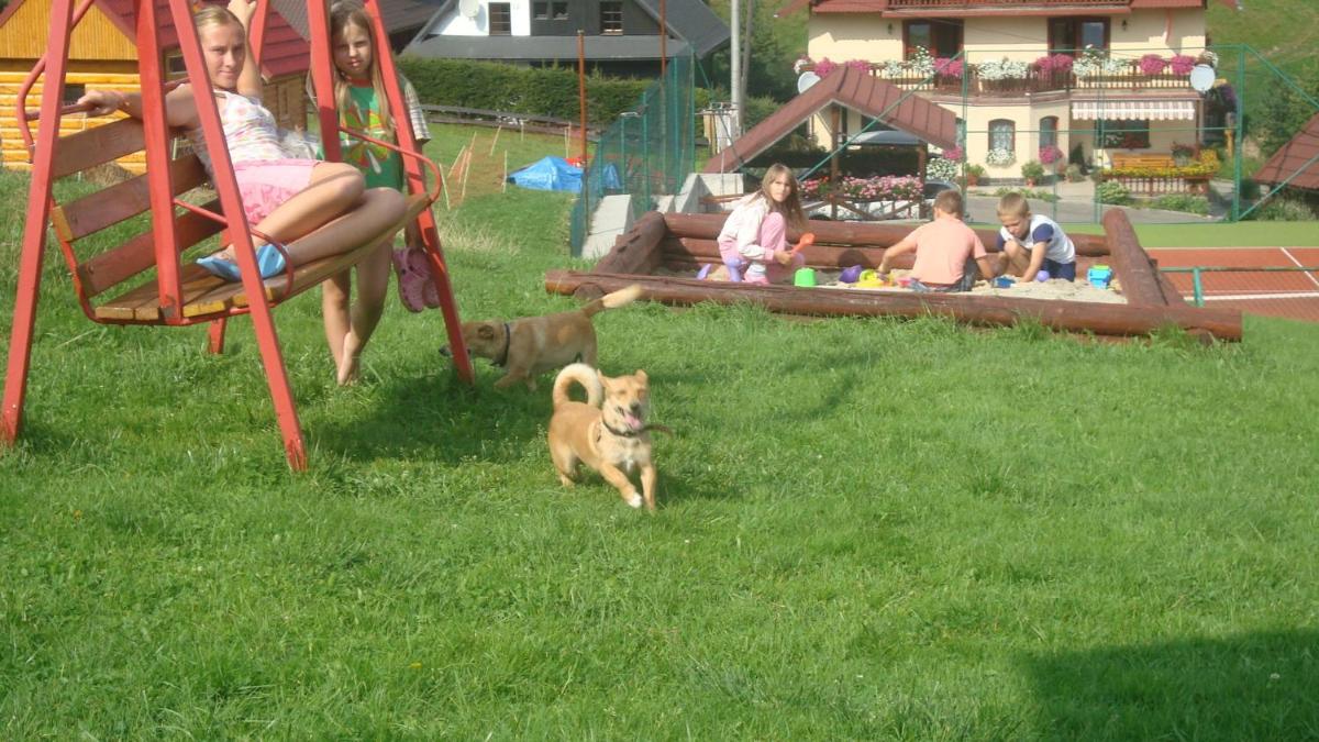 Photo 68