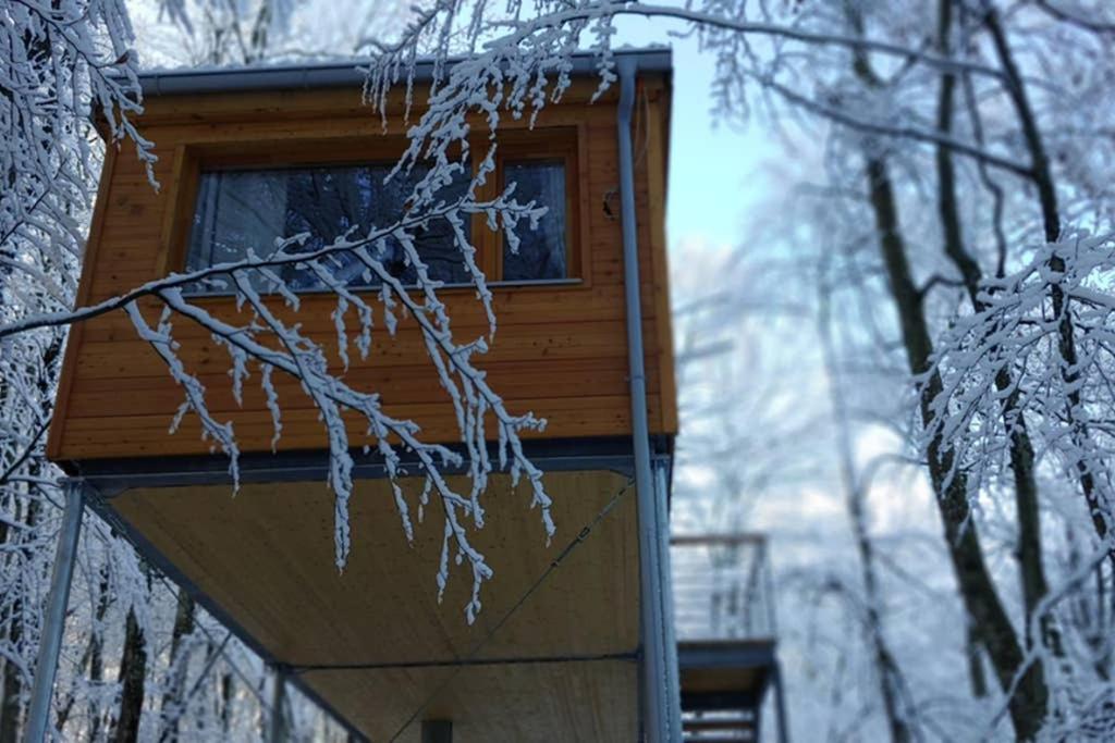 Treehouse Lika1