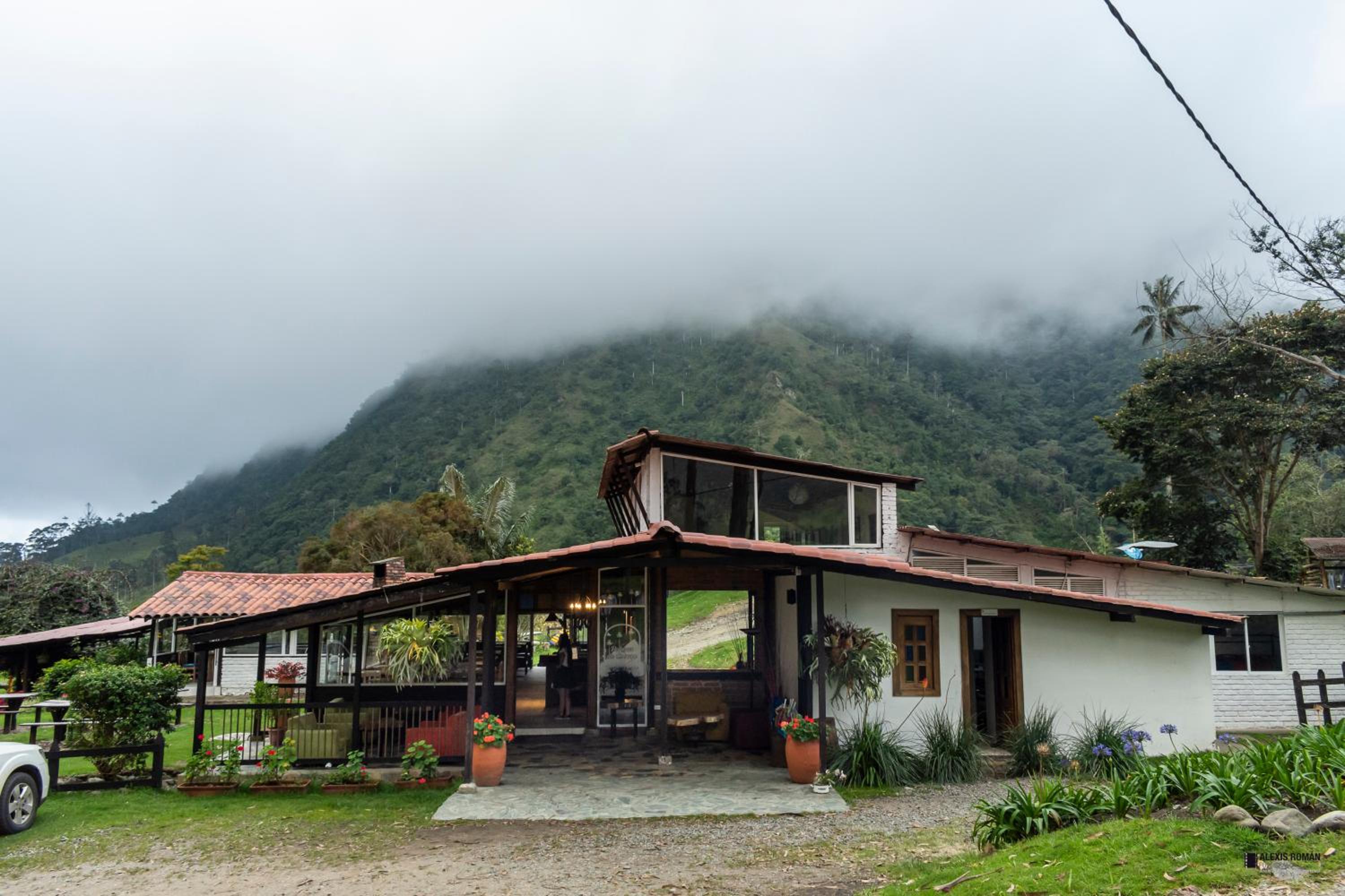 Palmas de Cocora view 3