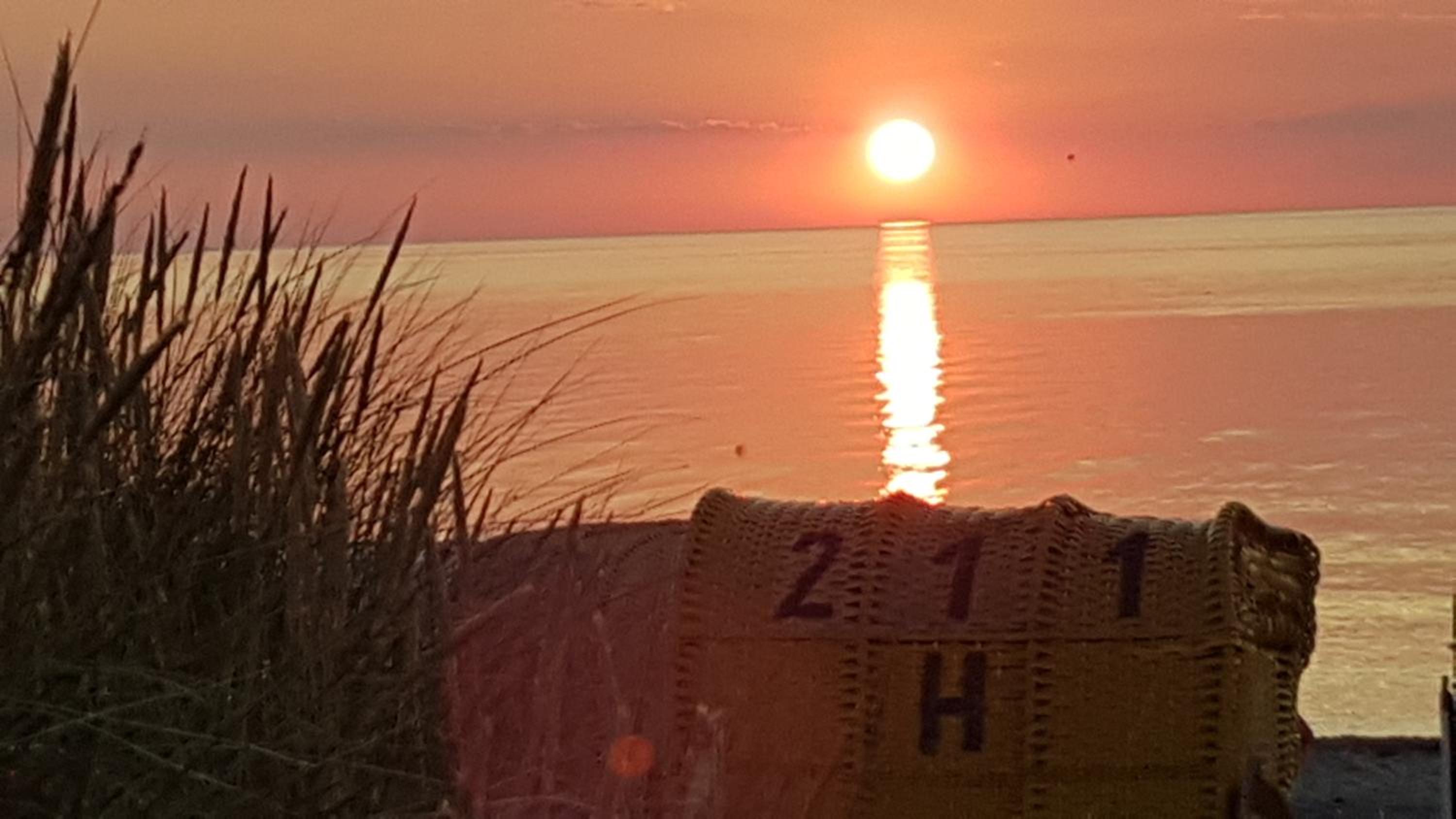 Strandläufer-G13