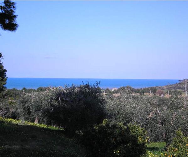 Casa Masseria Le Ville view 5