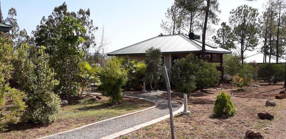 Le Gîte du Koniambo
