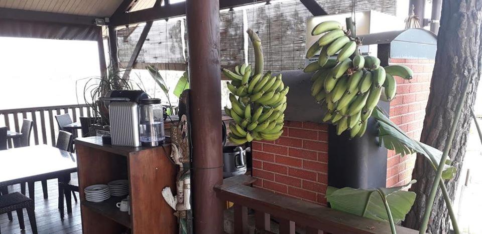 Le Gîte du Koniambo