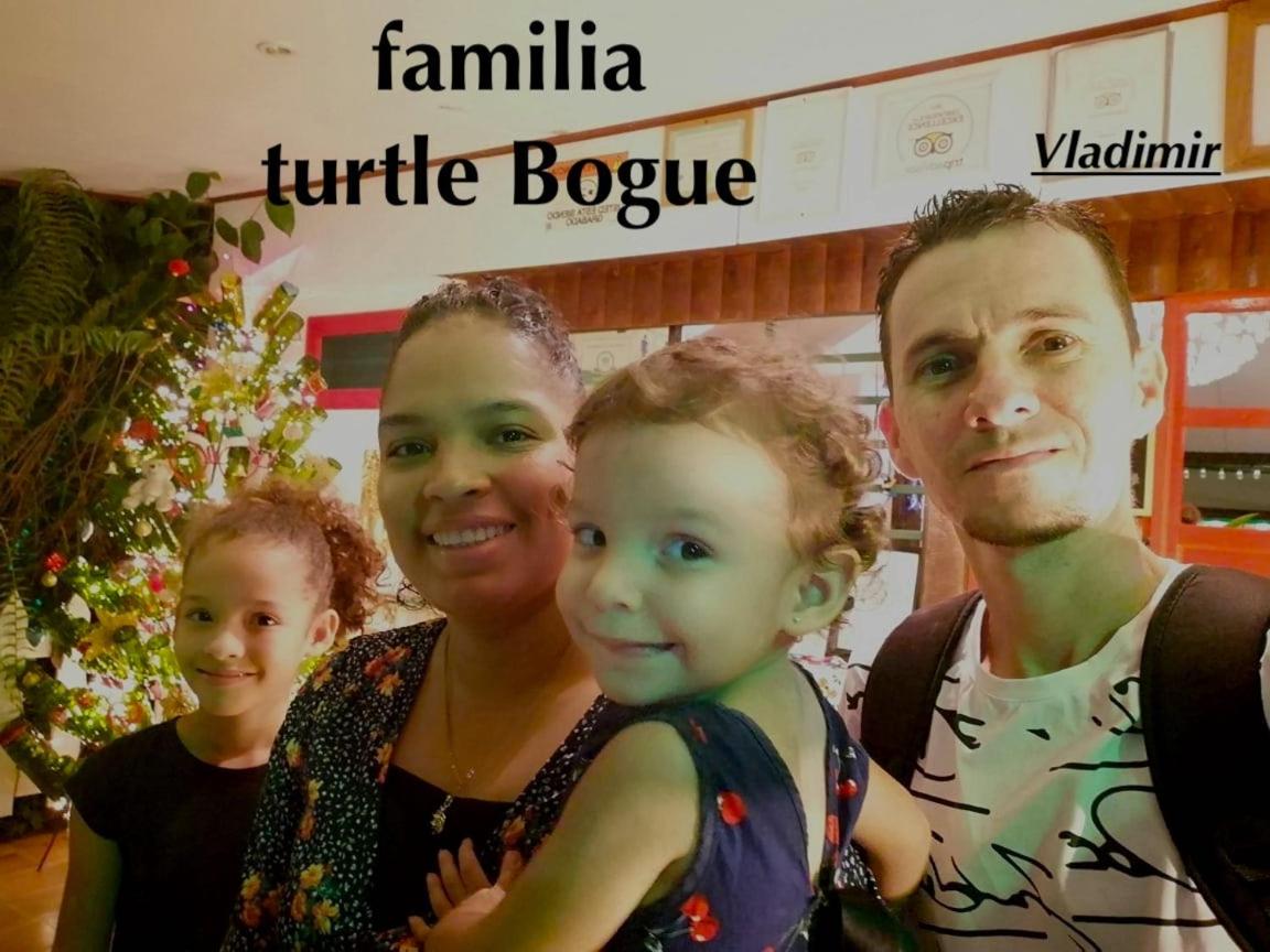Casa turtle Bogue