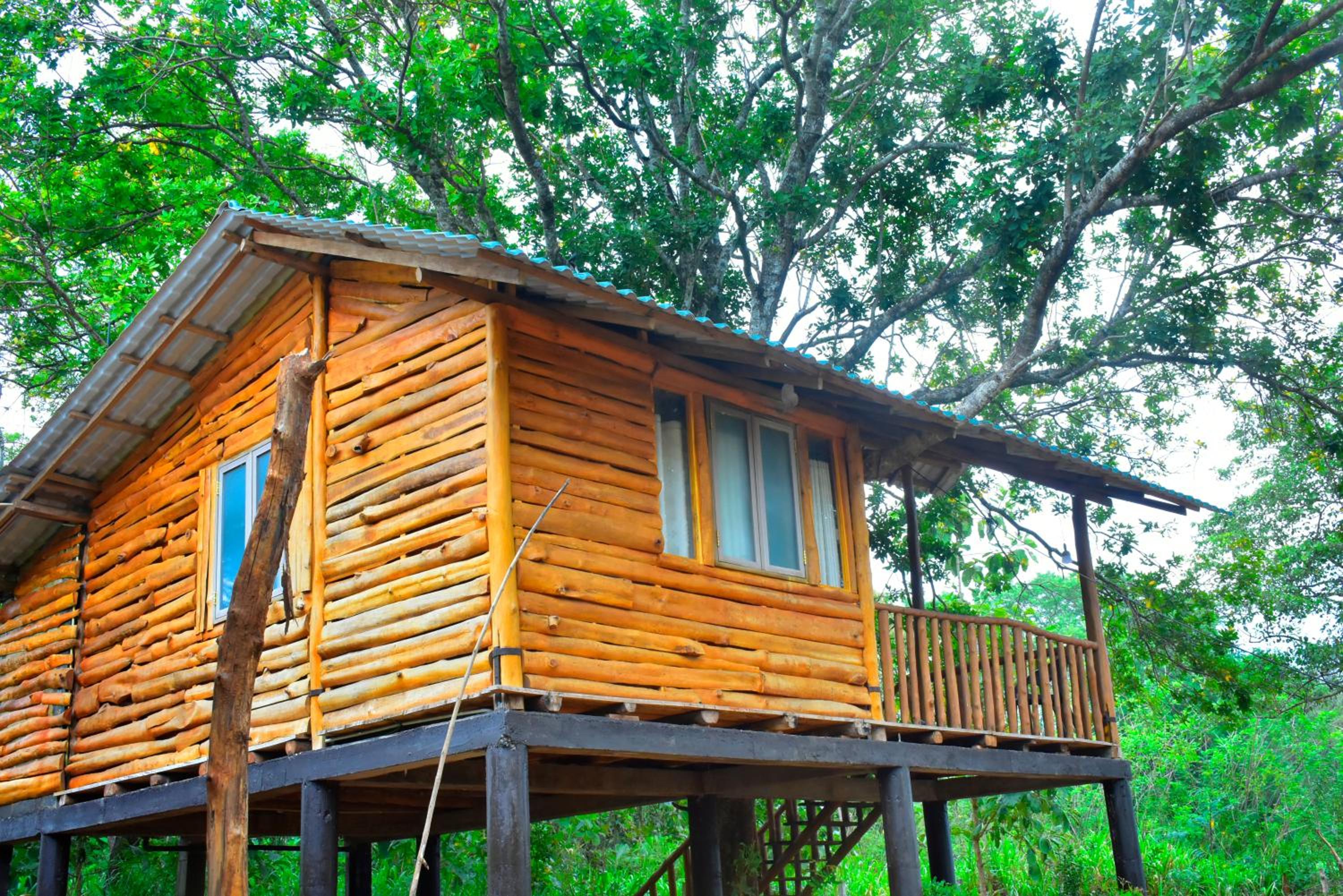 La Casa Safari Cottages view 4