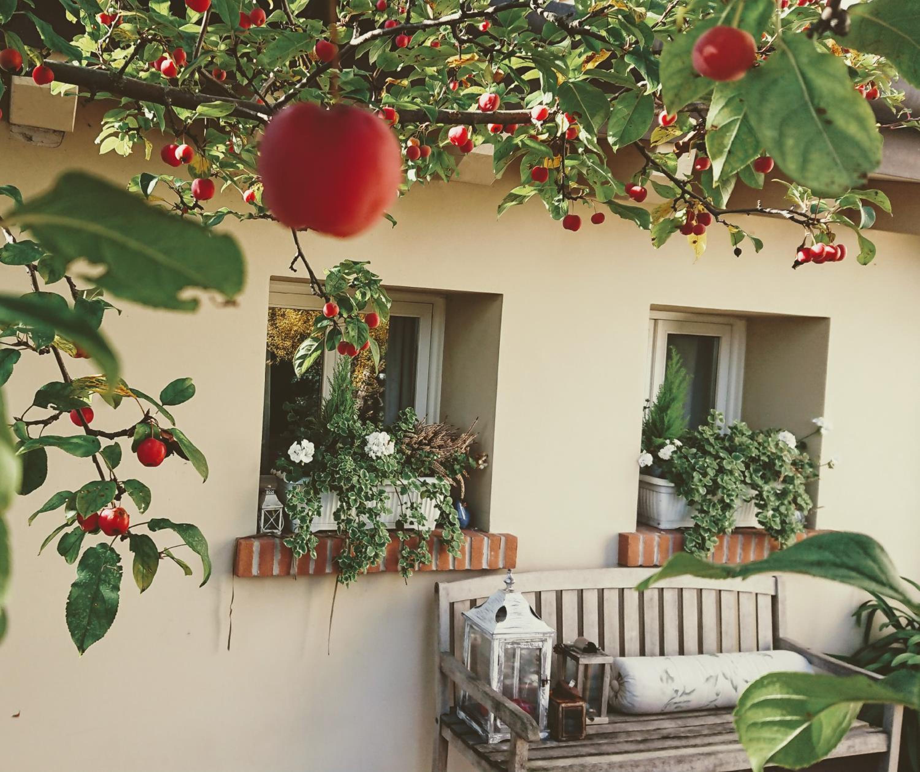 La Casa del Giardiniere