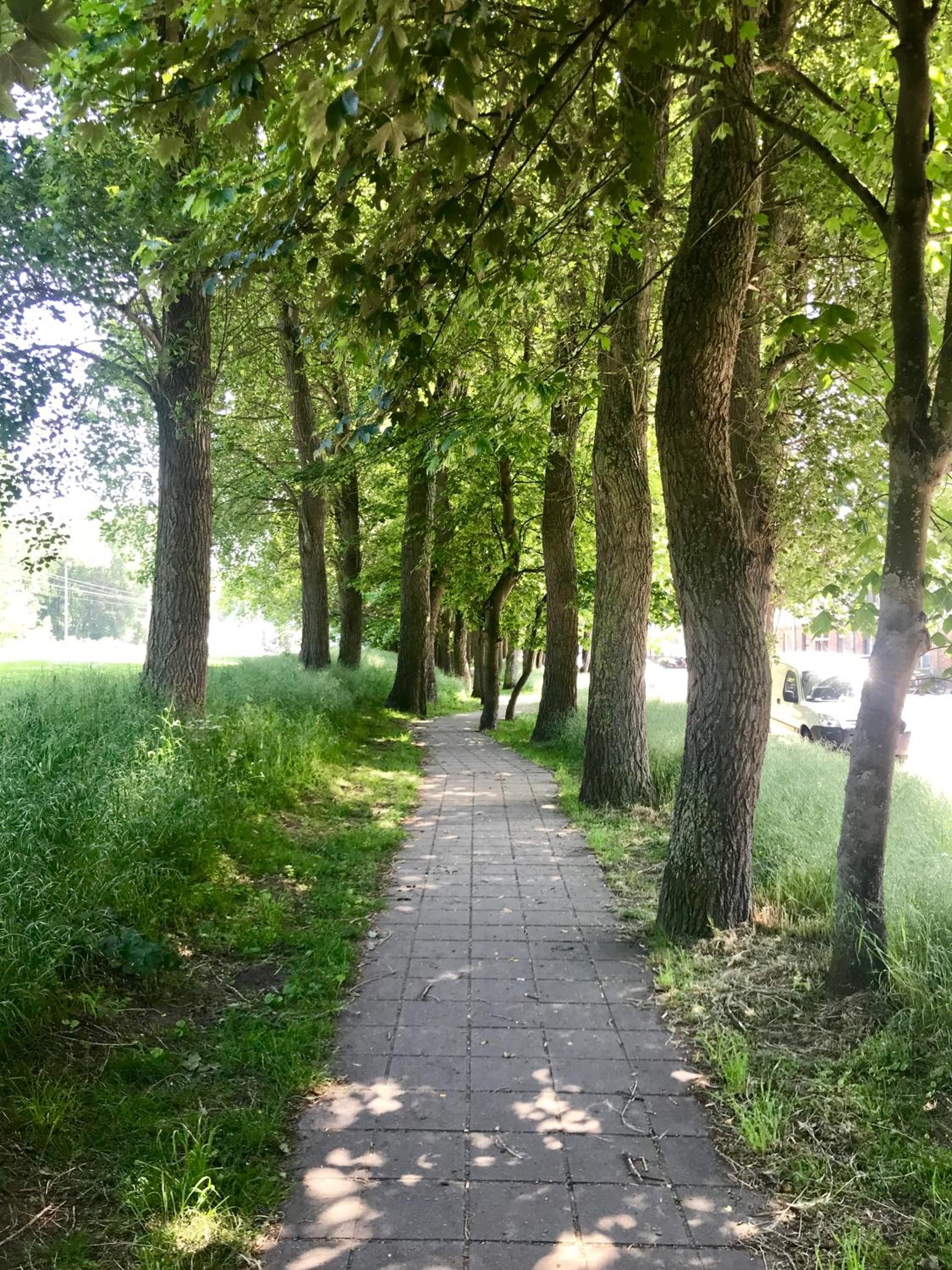 Photo 16