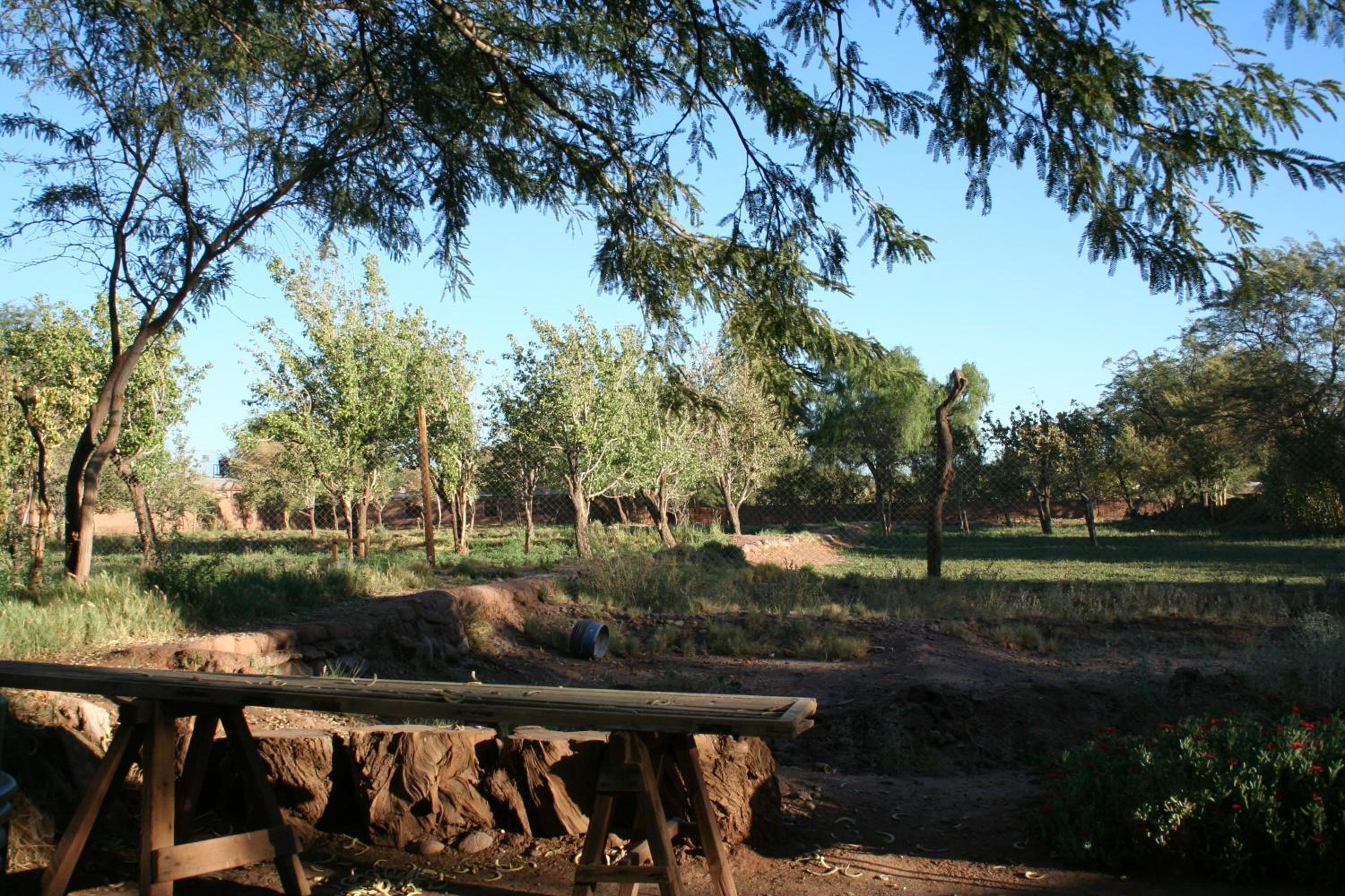 Quinta Adela Bed & Breakfast