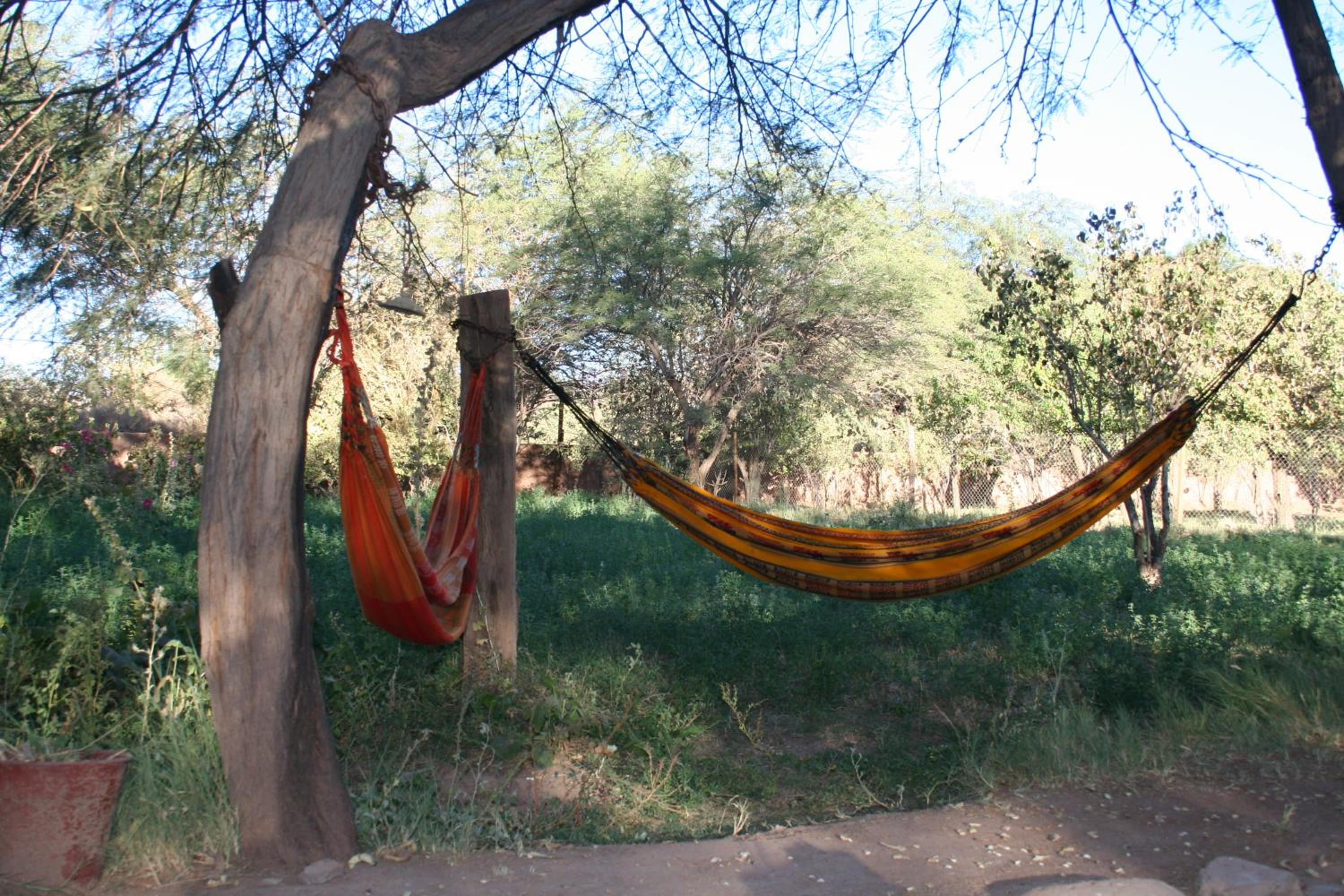 Quinta Adela Bed & Breakfast