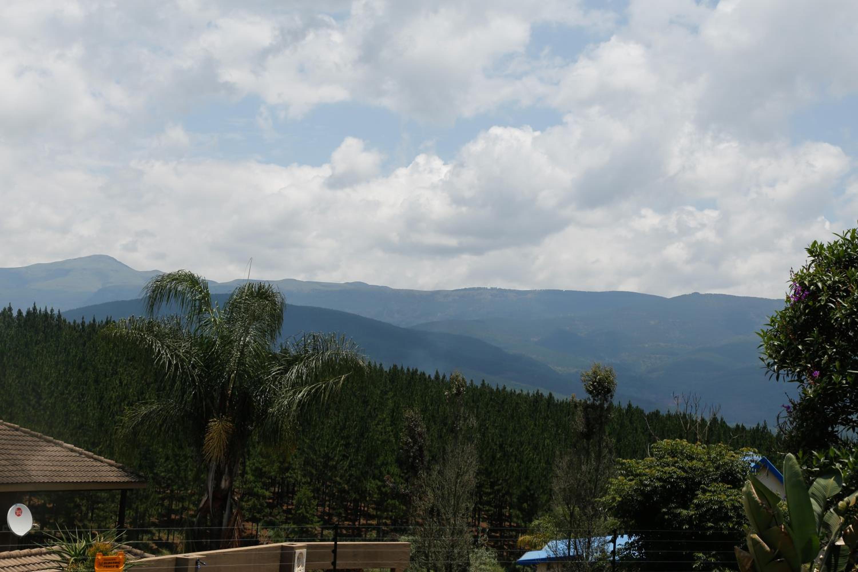 Yorkdale Cabin view 5