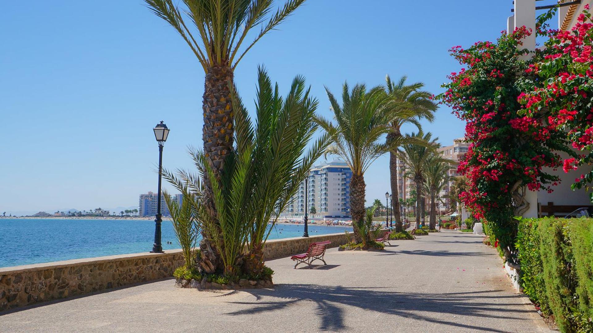 Apartamento La Manga SPACE view 4