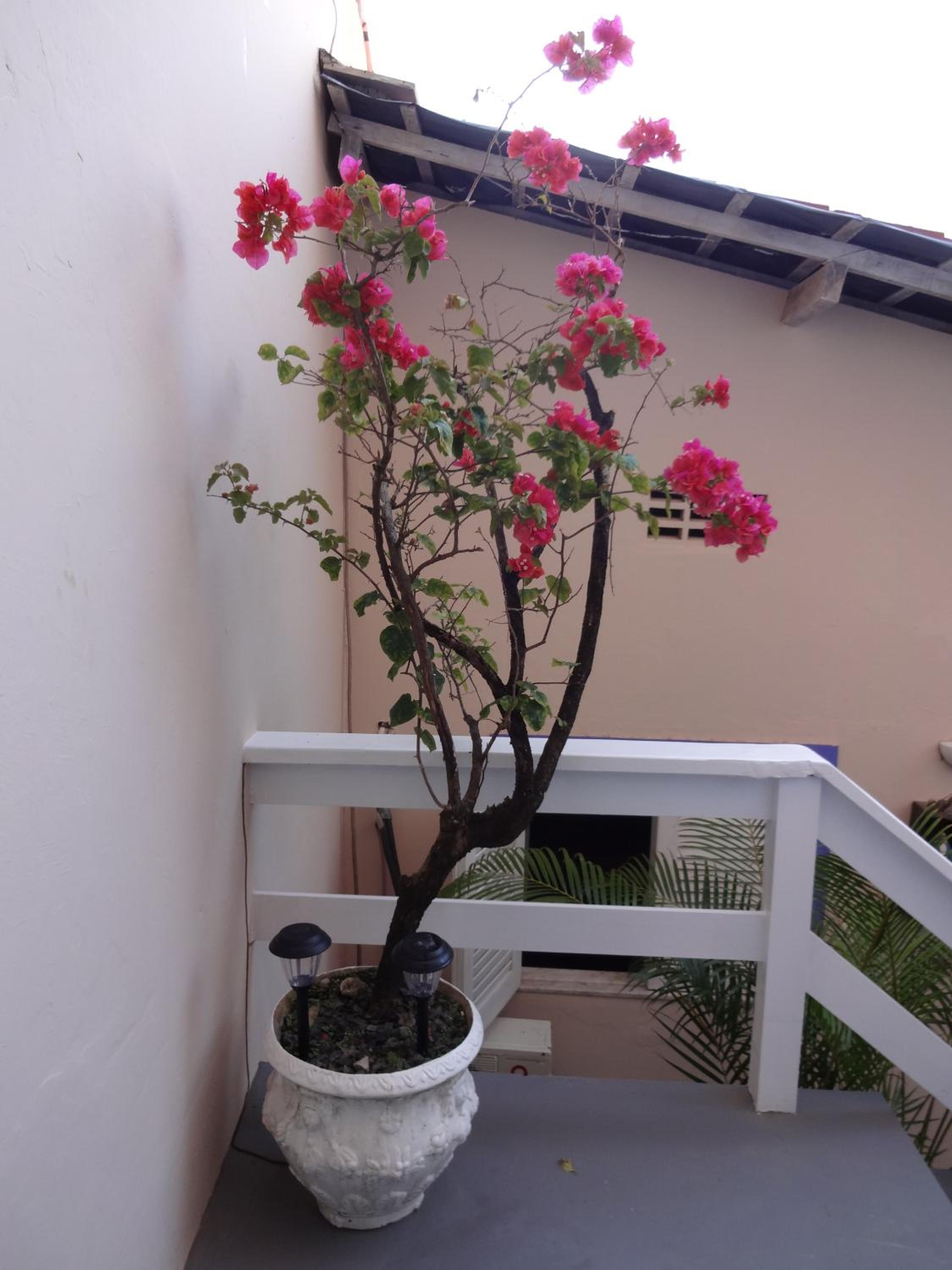 Pousada Via Brasil
