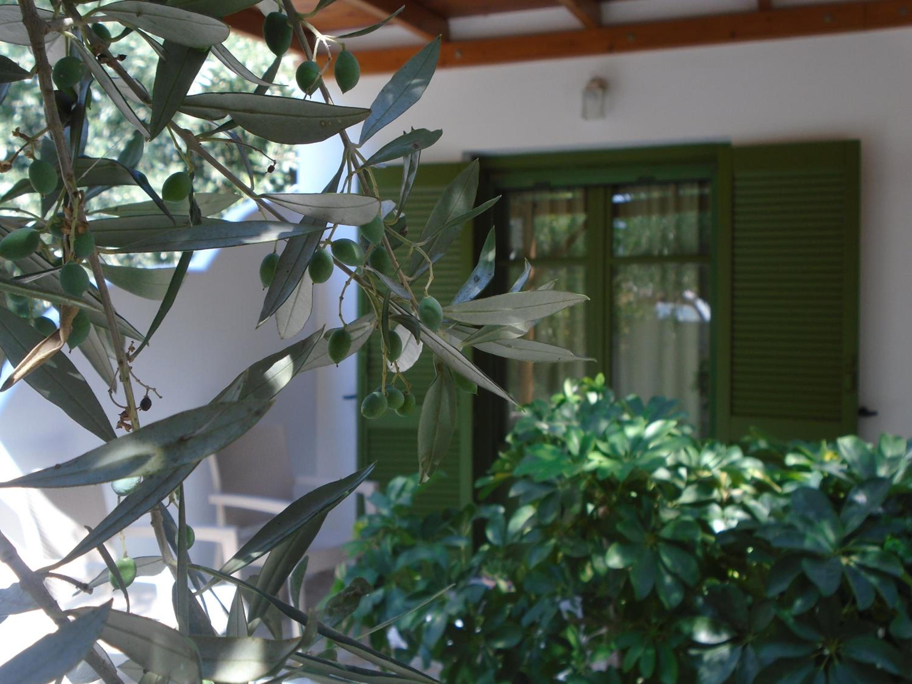 Leros Eleonas Apartments view 5