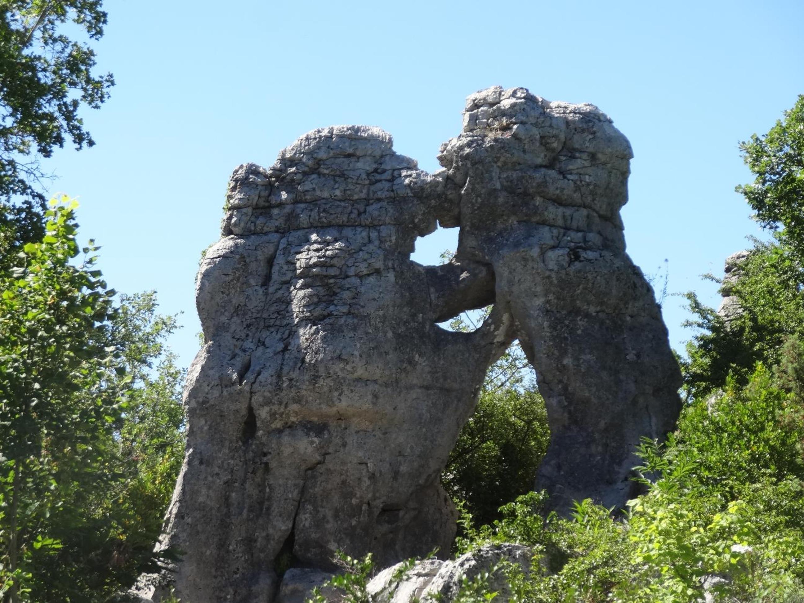Photo 19