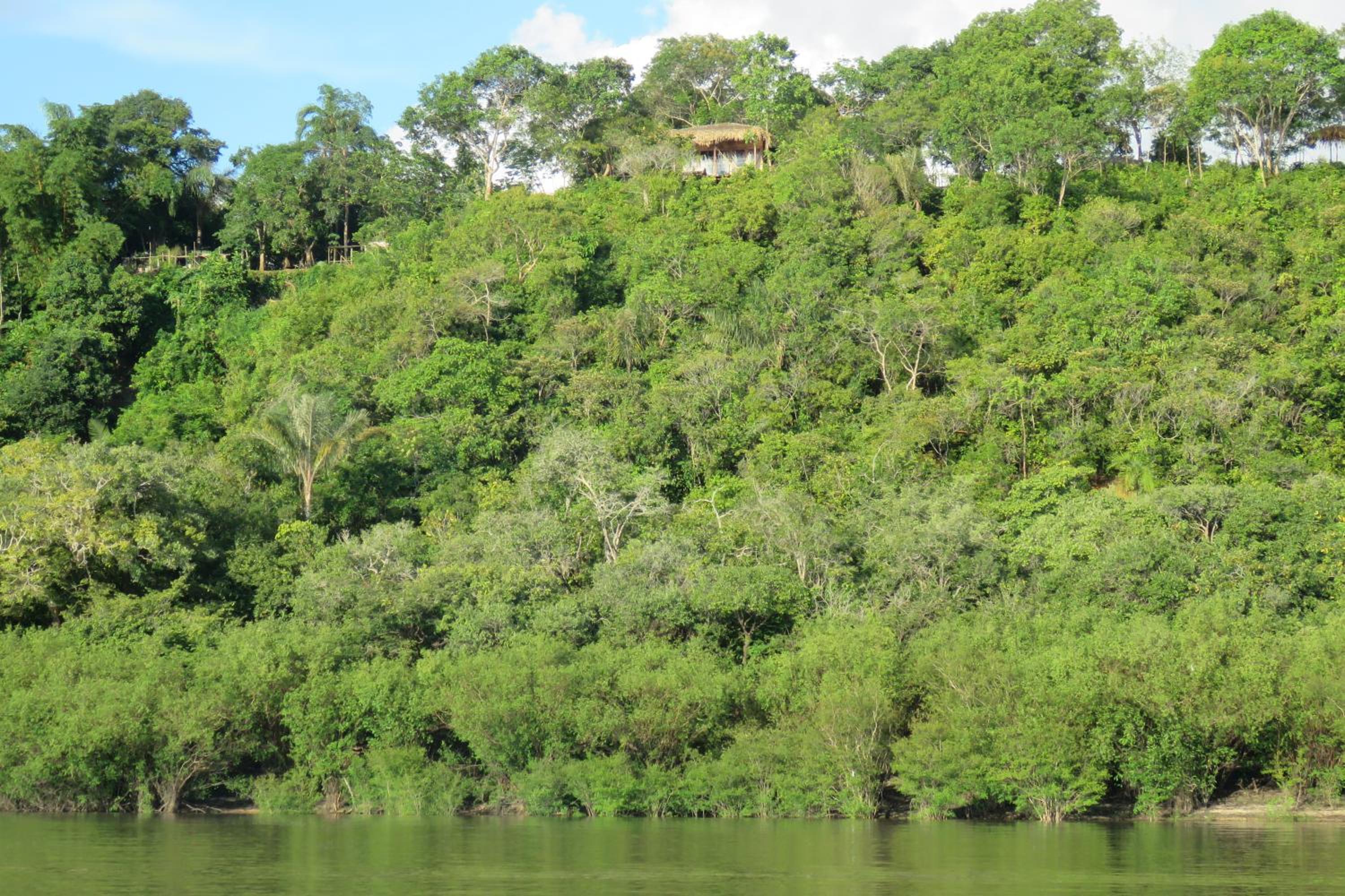 Alta Vista Amazon Lodge
