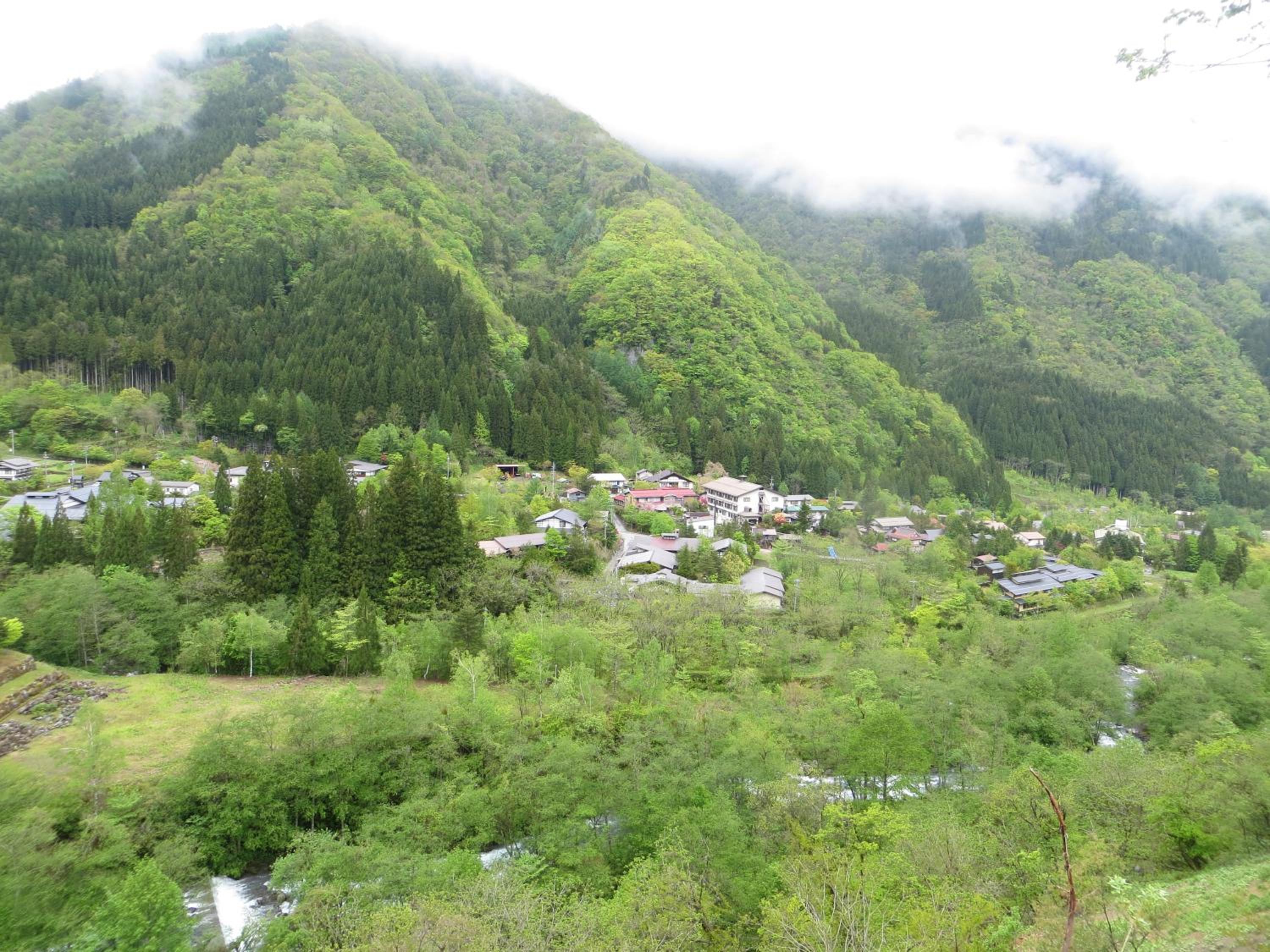 Photo 45
