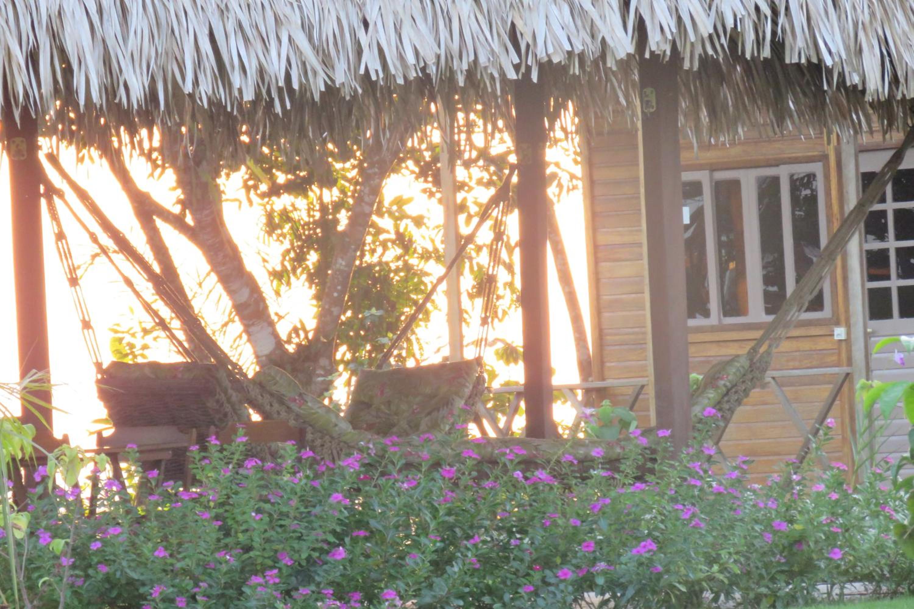 Alta Vista Amazon Lodge