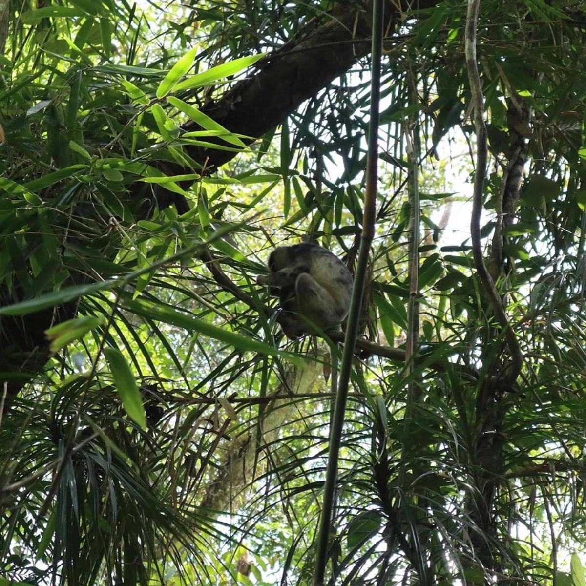 Photo 46